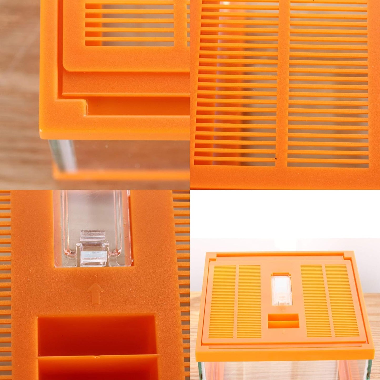 crapelles Reptile Terrarium kit Color Orange Spider Container Tarantula Box cage Gecko Habitat Insect Enclosure pet Tank Frog Carrier Tortoise Snail Container Hermit Crab House Cricket breeding