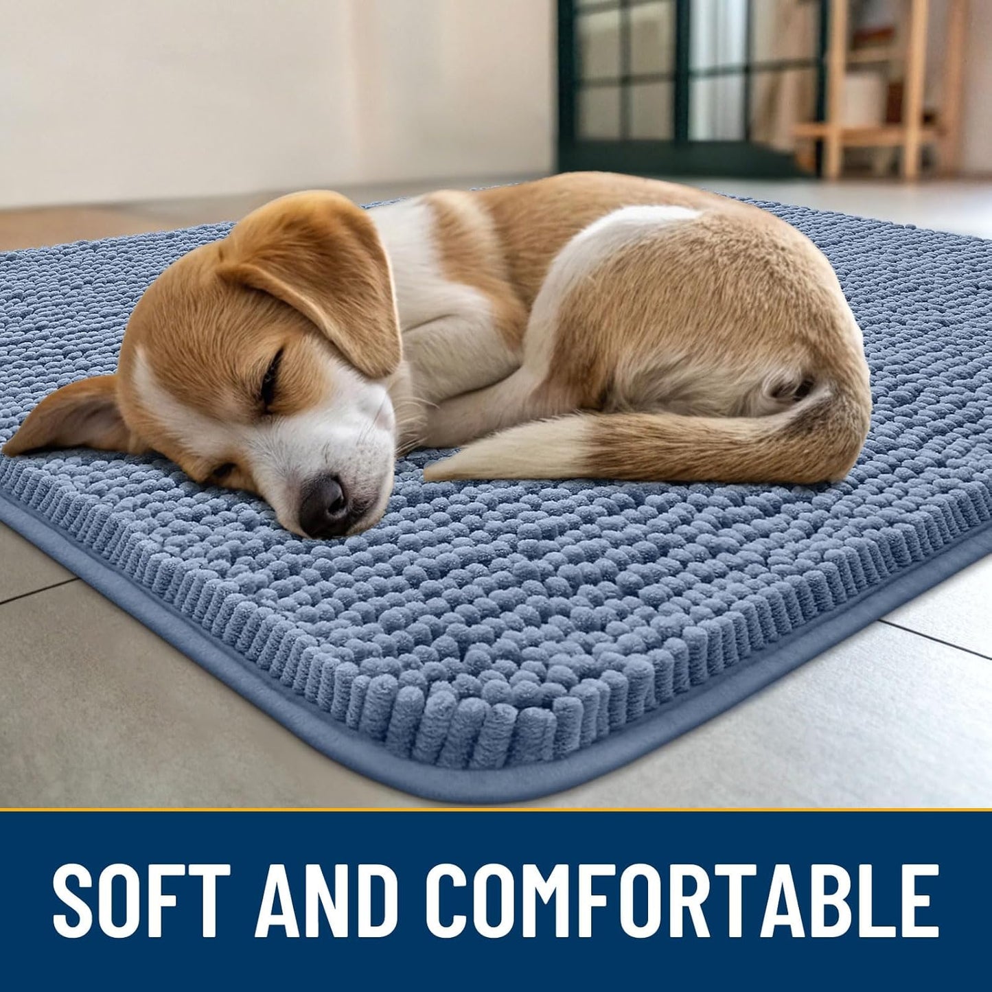 Smiry Dog Door Mat for Muddy Paws 36x24, Absorbs Moisture and Dirt Doormat, Non-Slip Washable Quick Dry Chenille Front Door Mat Indoor Entrance, Entryway Carpet for Inside Floor, Airy Blue