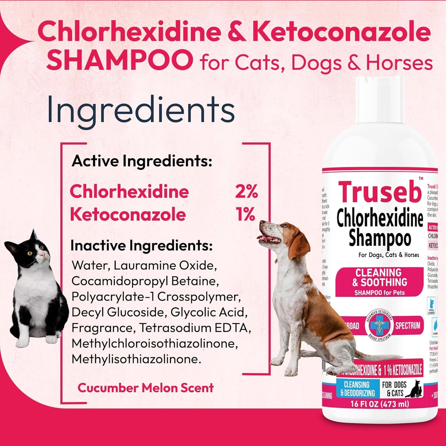 Truseb Topical Ketoconazole and Chlorhexidine Shampoo for Dogs, Cats, and Horses with Aloe - 16 oz (Ketoconazole & Chlorhexidine Shampoo, 16 oz)
