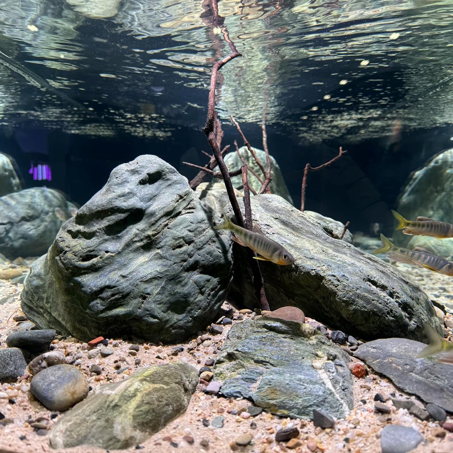 Aquarium Decor River Rock Decorative Stones Fish Tank Rocks Aquarium Landscapes 20LB Decoration Stone for Aquariums Aquascaping Terrariums,Paludariums,and Gardens（4-9inch / 4PCS）