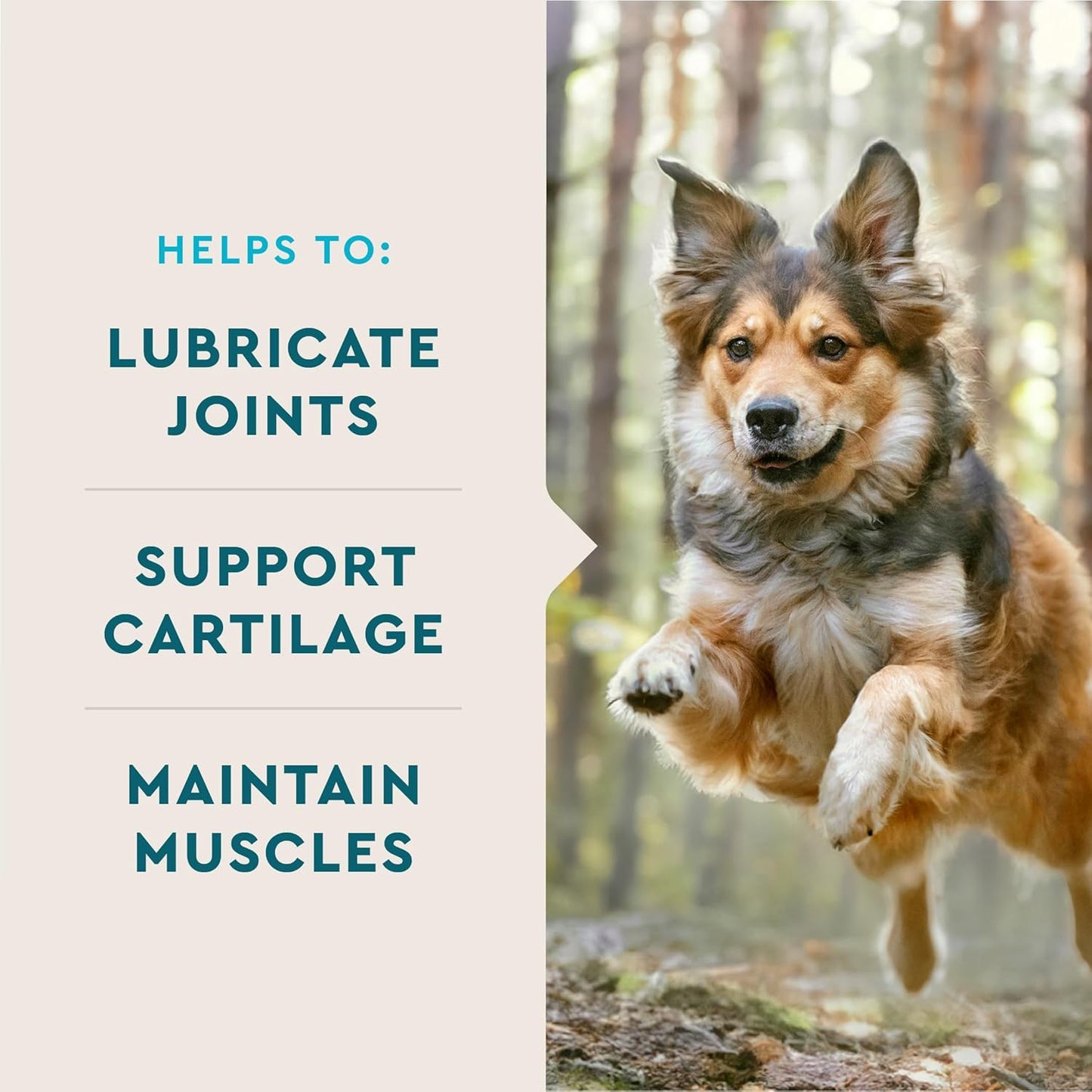 VetIQ Hip & Joint Supplement for Dogs, Anti Inflammatory Joint Support, Glucosamine, MSM, and Krill, Chicken Flavored Soft Chews, 60 Count