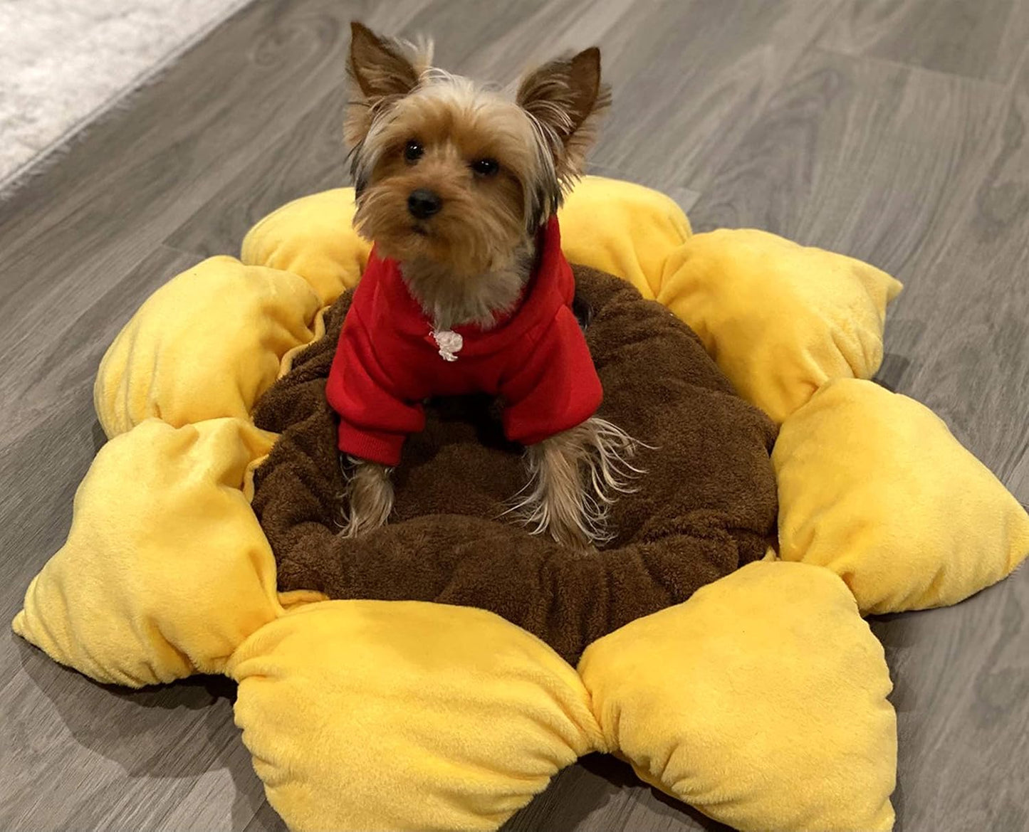 TONBO Soft Plush Small Cute and Cozy Nature Dog Cat Bed, Washer and Dryer Friendly (Sunflower)