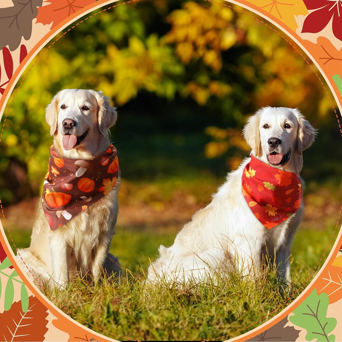 Chunful 100 Pieces Fall Dog Bandanas Bulk Autumn Pet Bandanas with Pumpkin Patterns Triangle Scarf Bib Kerchief Set for Small Large Dog Thanksgiving Costume Accessories (31.5 x 21.7 x 21.7)