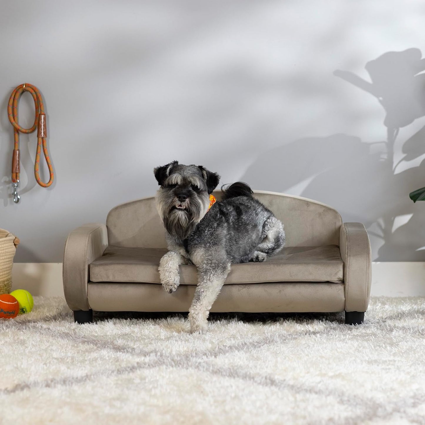 Paws & Purrs Multi-Cat Sofa Elevated Pet Bed for Indoor Cats Raised Cats Couch with Removable Washable Mattress Cover for Kittens, Dogs - 35.5" Wide, Ash