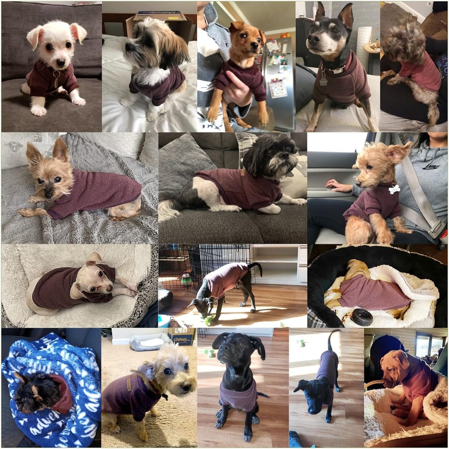 Jecikelon Dog Clothes Dogs Sweater Soft Puppies Clothing Winter Puppy Sweaters Warm Outfit for Dogs Small XXS XS Cat Apparel (Brown, XS)