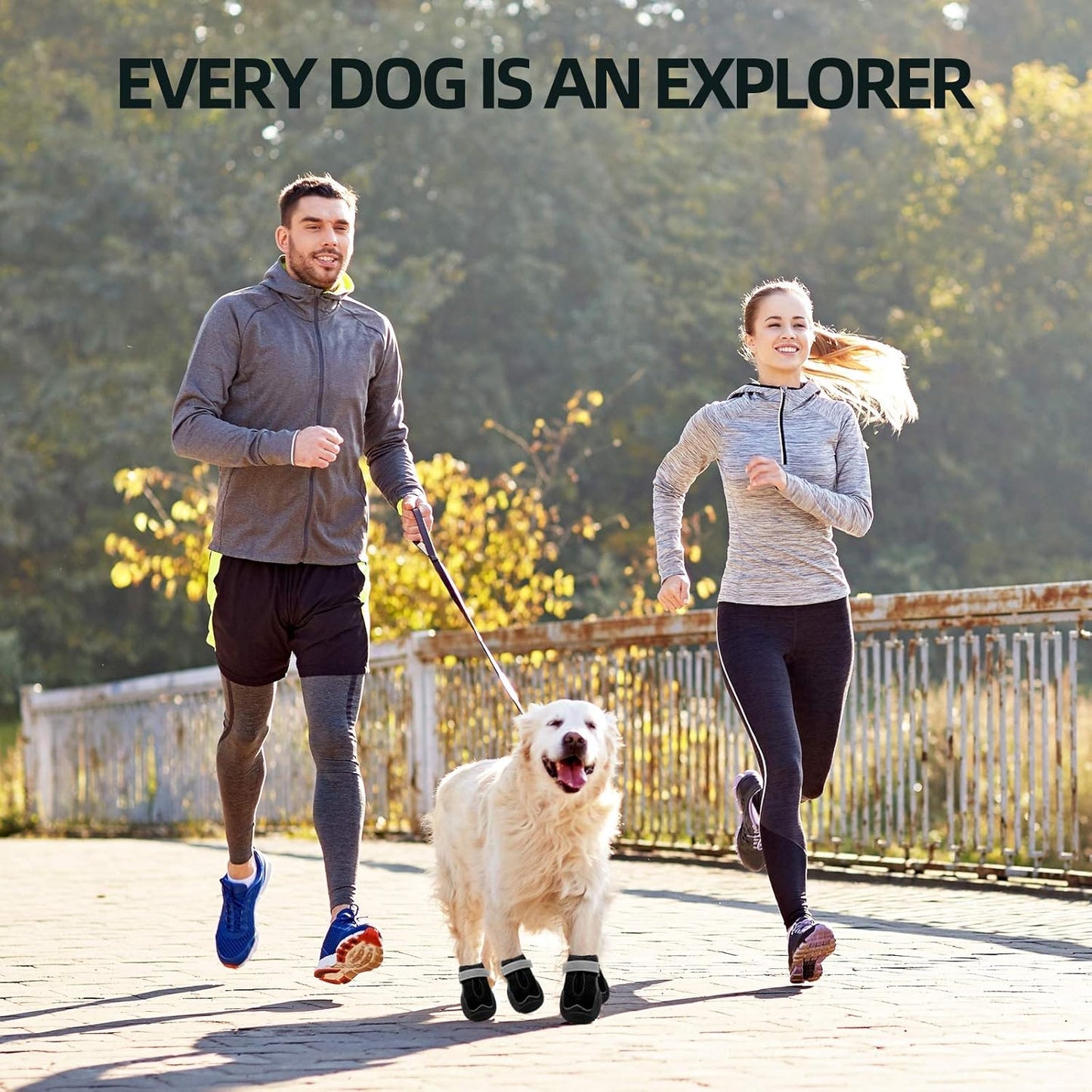 Hcpet Dog Boots for Large Dogs, Dog Shoes for Hot Pavement Winter Snow, Paw Protector Dog Booties Designed for Comfort and Breathability, Outdoor Booties for Small Medium Dogs for Hiking Black Size 8