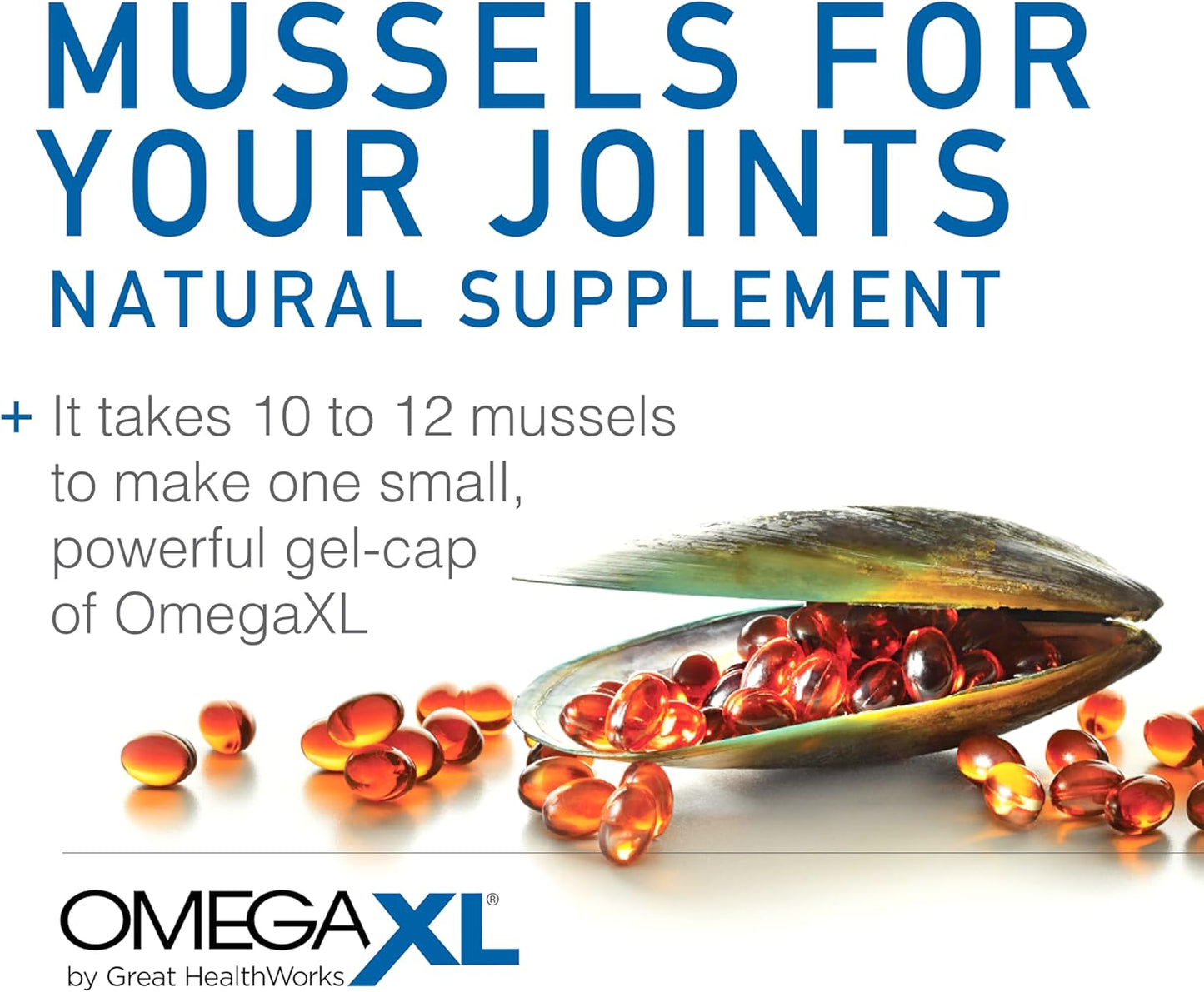 OmegaXL Joint Support Supplement - Natural Muscle Support, Green Lipped Mussel Oil, Soft Gel Pills, Drug-Free, 300 Count