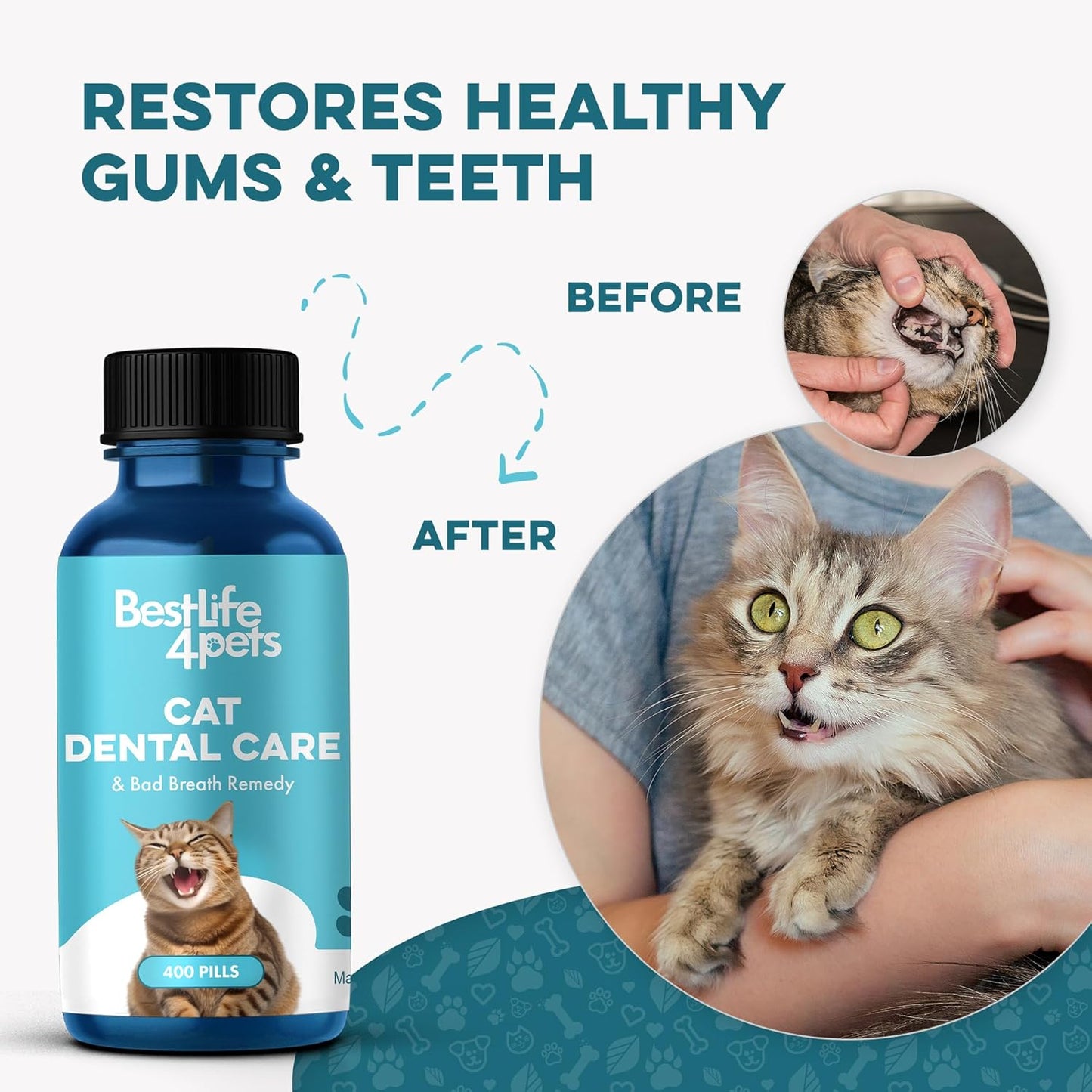 Cat Bad Breath & Oral Health Remedy, Natural Dental Care Cats Teeth, Mouth and Gums, Easy to Use Daily Supplement for Stomatitis, Gingivitis, Plaque & Tartar Control for Cats, 800 Small Pills