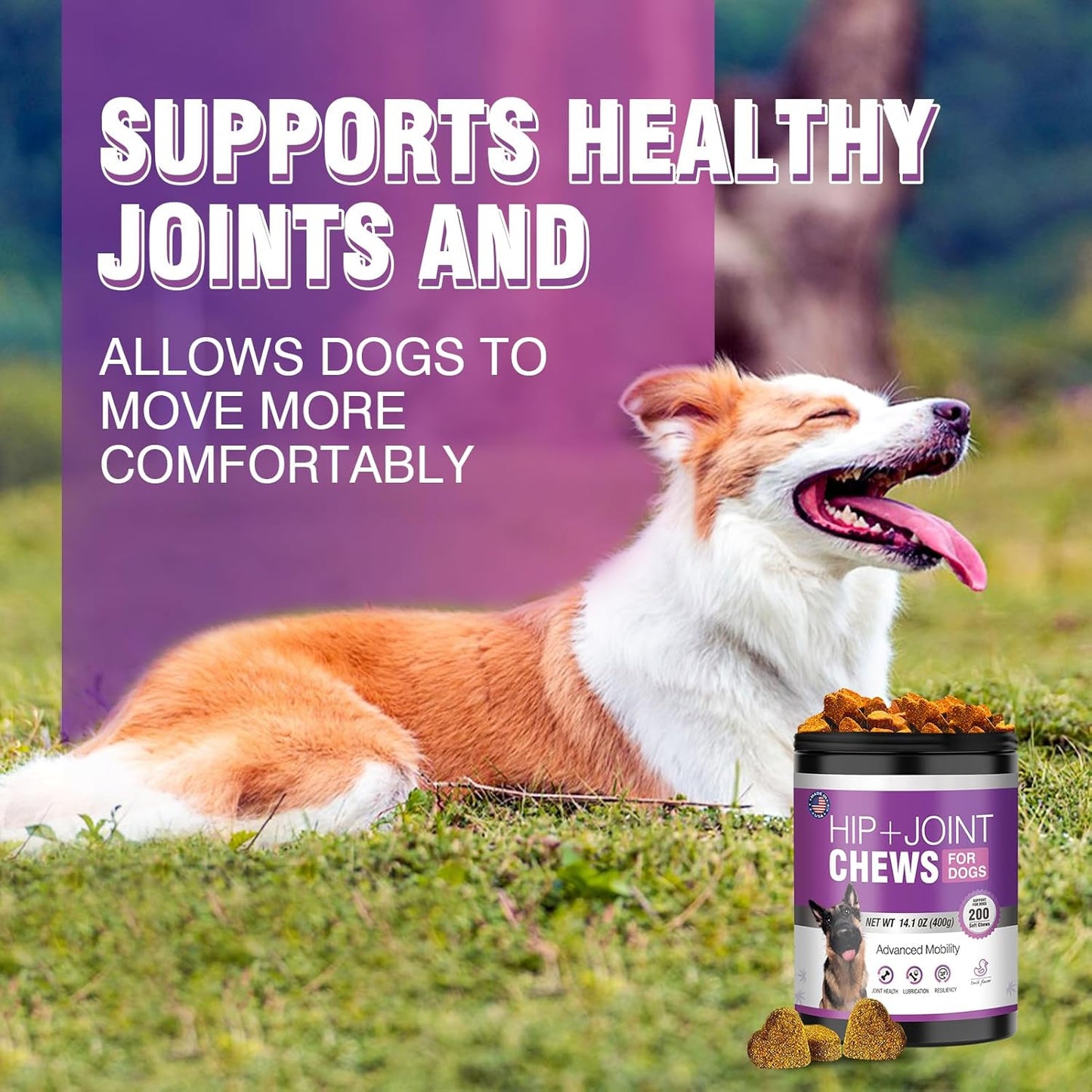Glucosamine for Dogs 200pcs Joint Support Supplement Dog Hip and Joint Chondroitin Chews Treats with MSM Hemp Dog Joint Pain Relief Mobility Supplements Duck Flavor Fit All Large Small Medium Breed