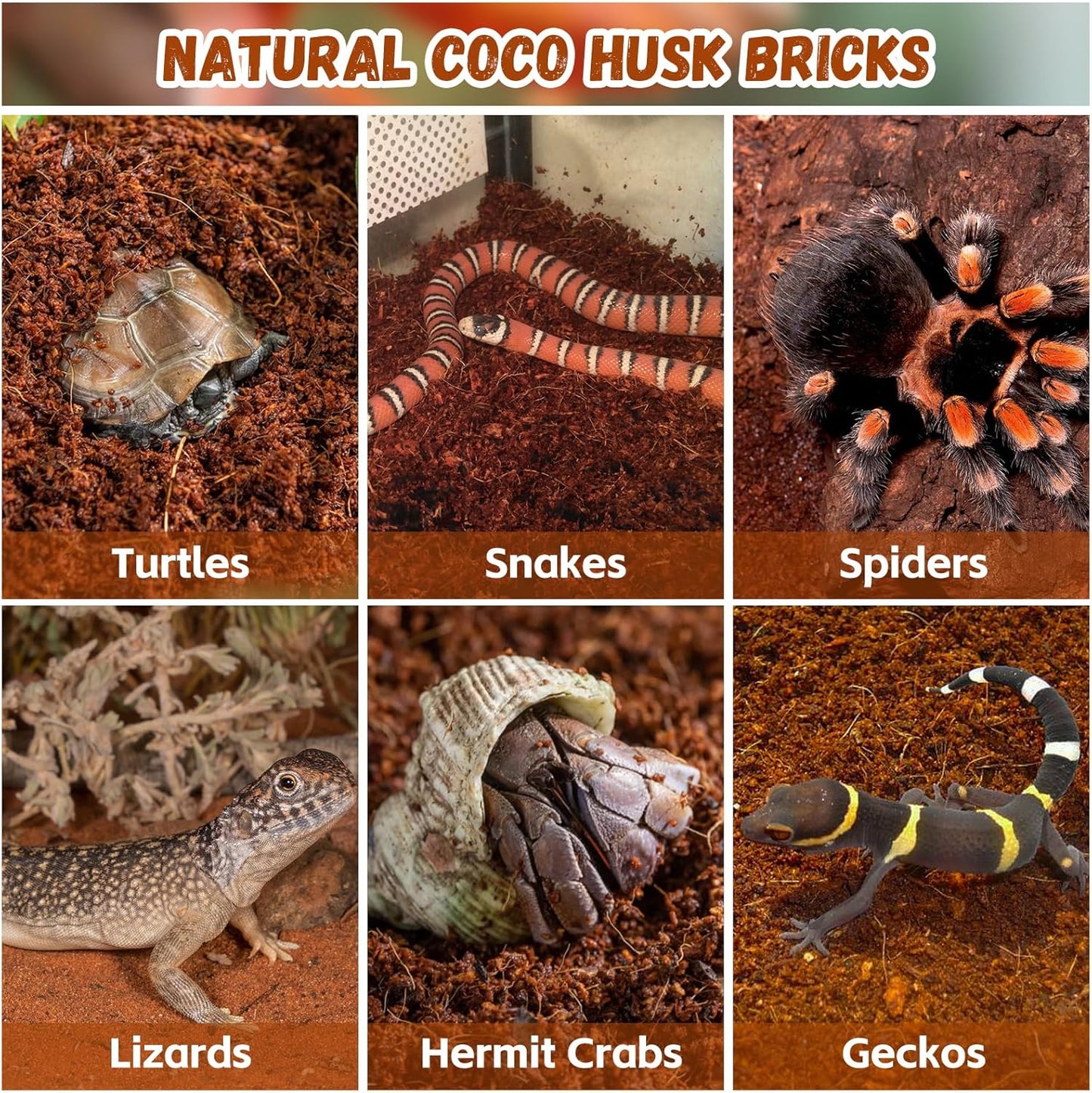 Legigo 6 Pack Compressed Coconut Fiber Substrate - 100% Organic Coconut Fiber Brick Bedding for Reptiles, Natural Coco Husk Substrate Terrarium Bedding for Snake, Hermit Crabs, Frogs, Tortoise, Gecko