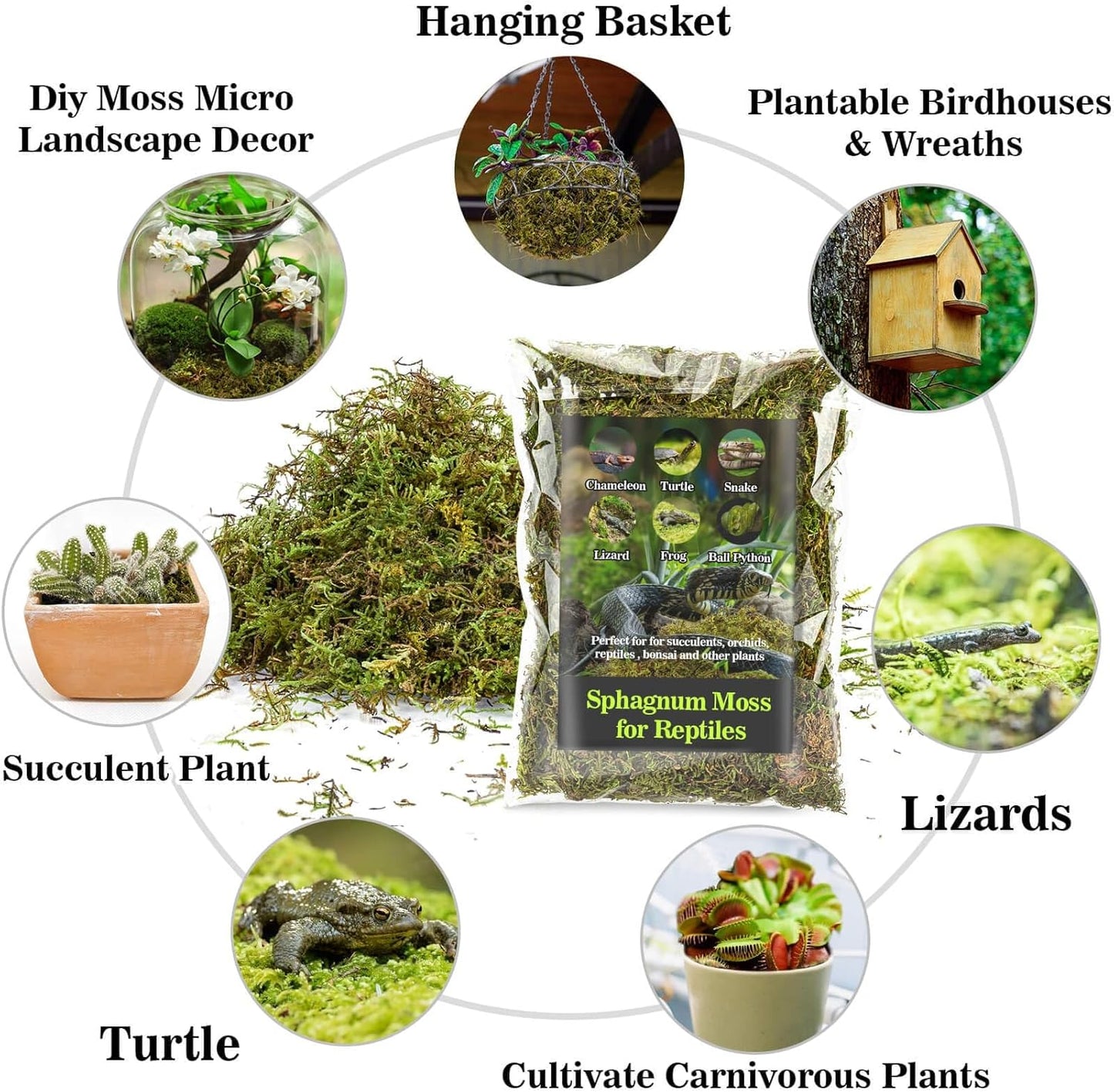 Sukh Sphagnum Moss for Reptiles -Terrarium Moss for Reptiles Peat Moss for Reptiles Habitat Bedding Moss for Snakes Turtle Frog Gecko and Other Reptiles Substrate (11.2, Ounces)