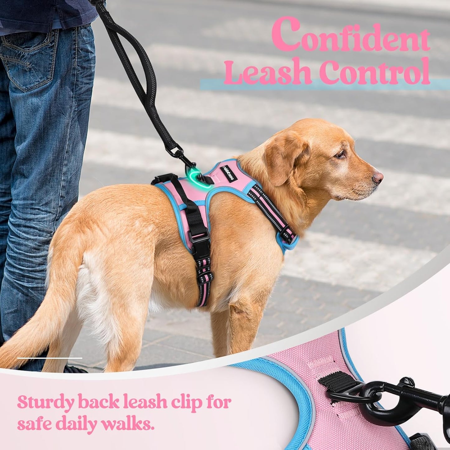 rabbitgoo Dog Harness No Pull with 2 Leash Clips, Adjustable Soft Padded, Reflective Oxford No Choke Pet Vest with Easy Control Handle for Medium Sized Dogs, Pink & Blue, M