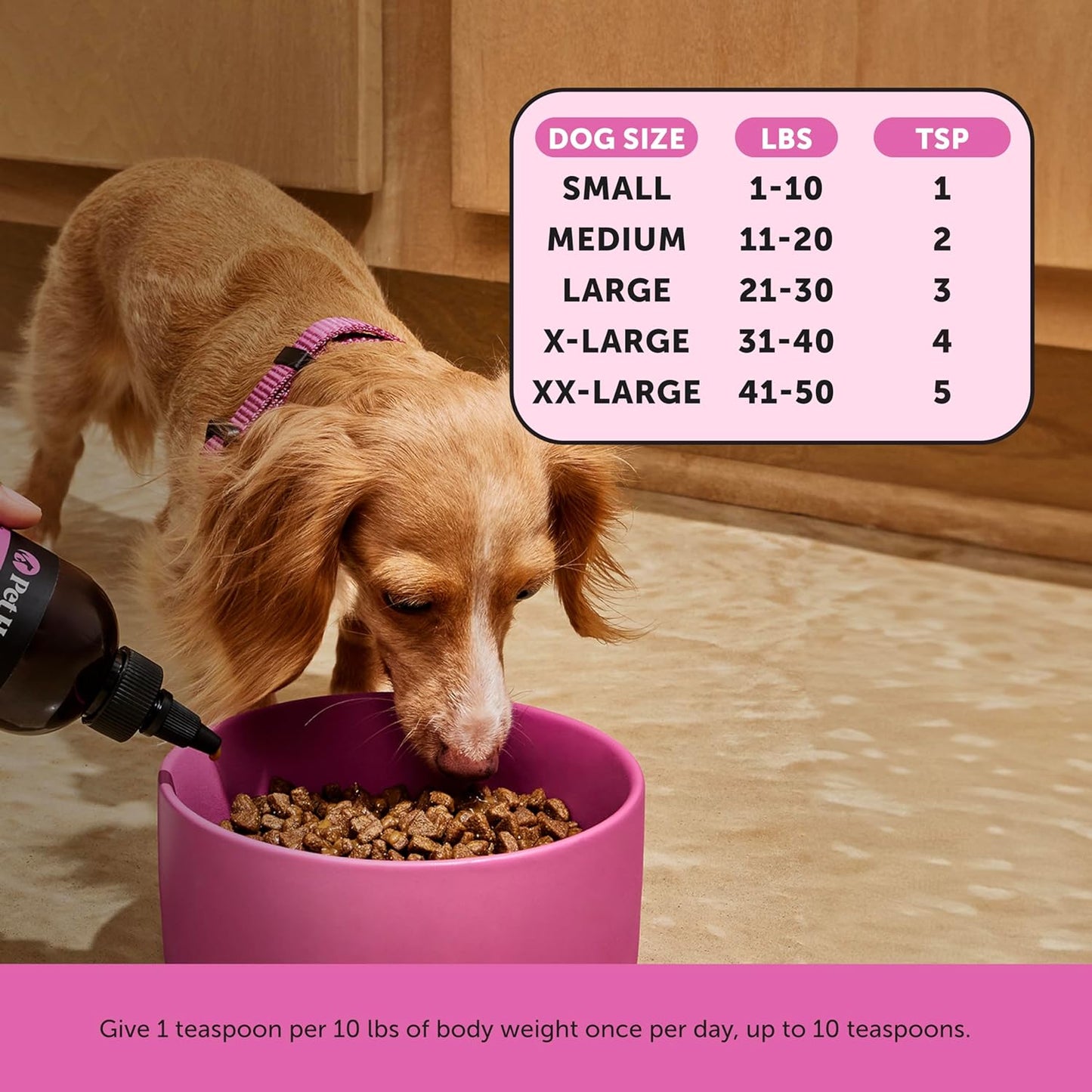 Dog Multivitamin Supplement with Salmon Oil for Dogs - Allergy Itch Relief, Digestion, Skin & Coat Health, Liquid Supplement - Dog Food Topper Bone Broth with Prebiotics (12 oz)