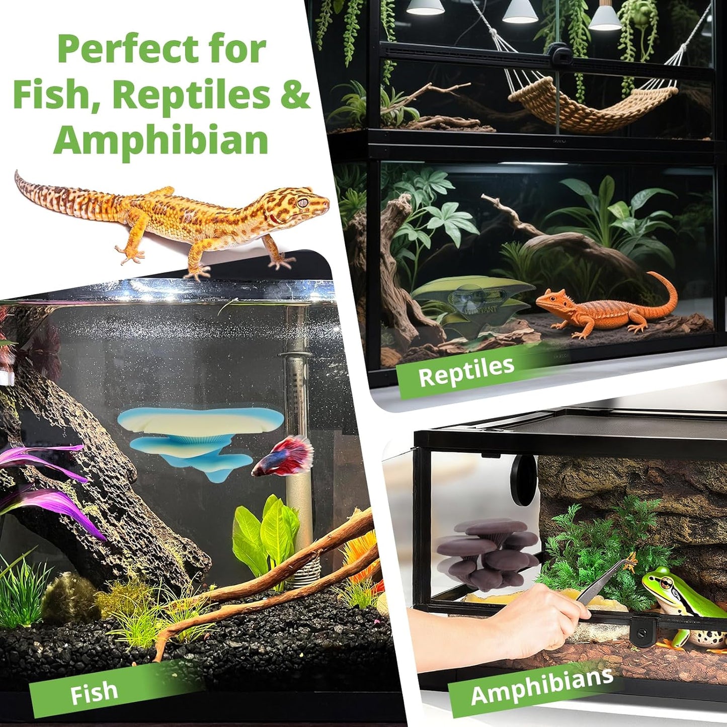 Mushroom Decor for Reptile Tank, Fish Tank, Pet-Safe Bearded Dragon Tank Accessories, Realistic Terrarium Plants for Leopard Geckos, Crested Geckos, Tree Frogs, Snakes (Cocoa, Trio Cap)