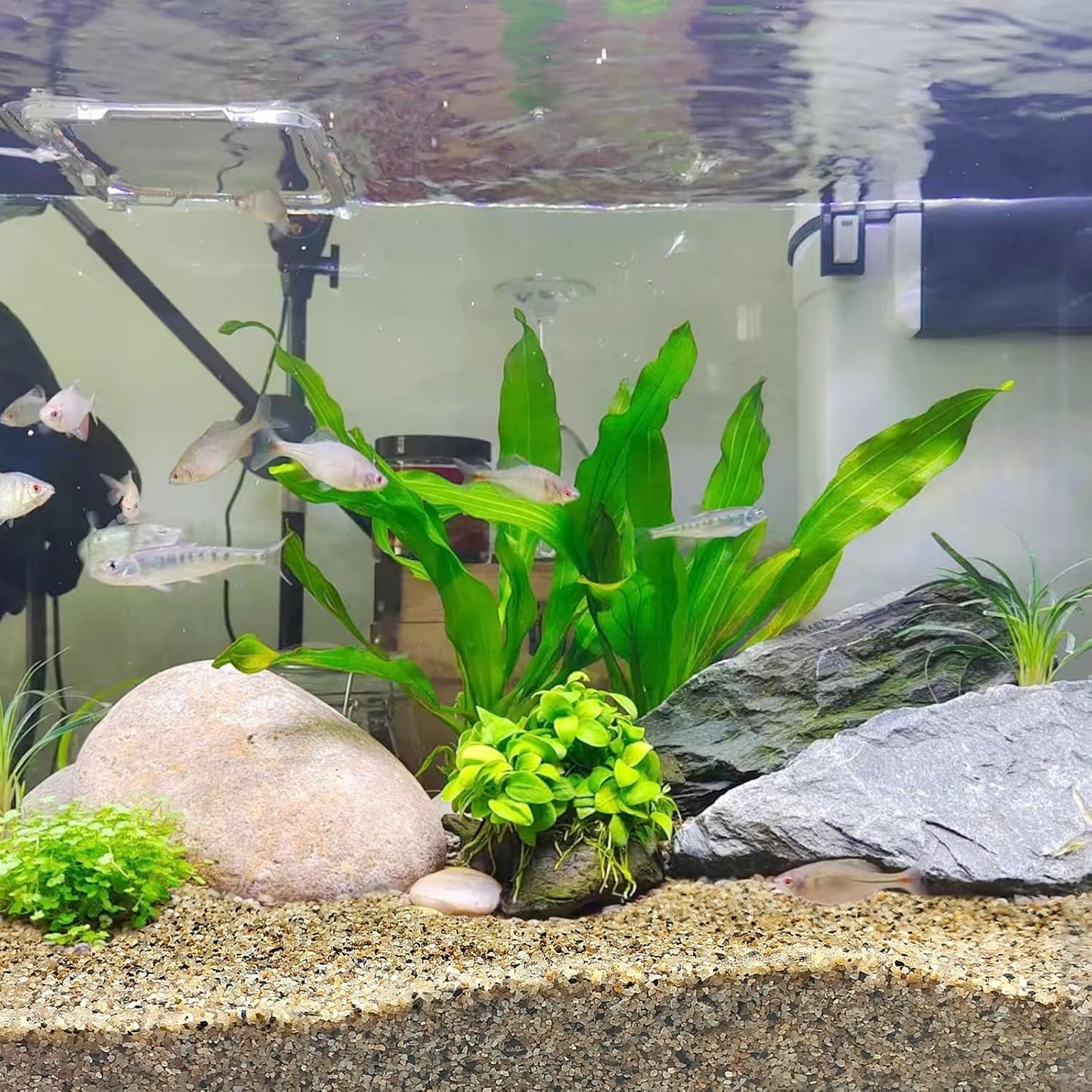 20 lbs Aquarium Sand, 0.6-1.2 mm Aquarium Substrate for Freshwater Fish Tank. Decorative River Rocks Gravel for Fish Tank, Plants Potted, Fire Pits, Candle, Vase and Crafts