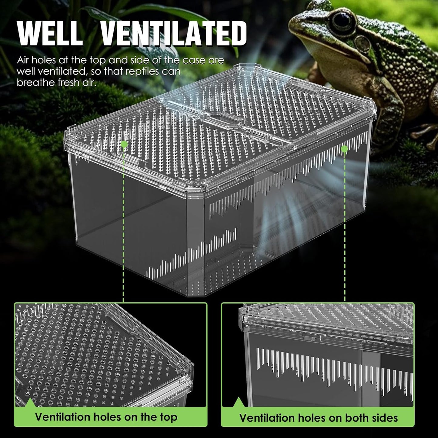 Breathable and Secure Reptile Tank with high Transparency - Ideal Container House for Hermit Crab, Tarantula Enclosure, Turtle Tank or Jumping Spider Habitat (L)