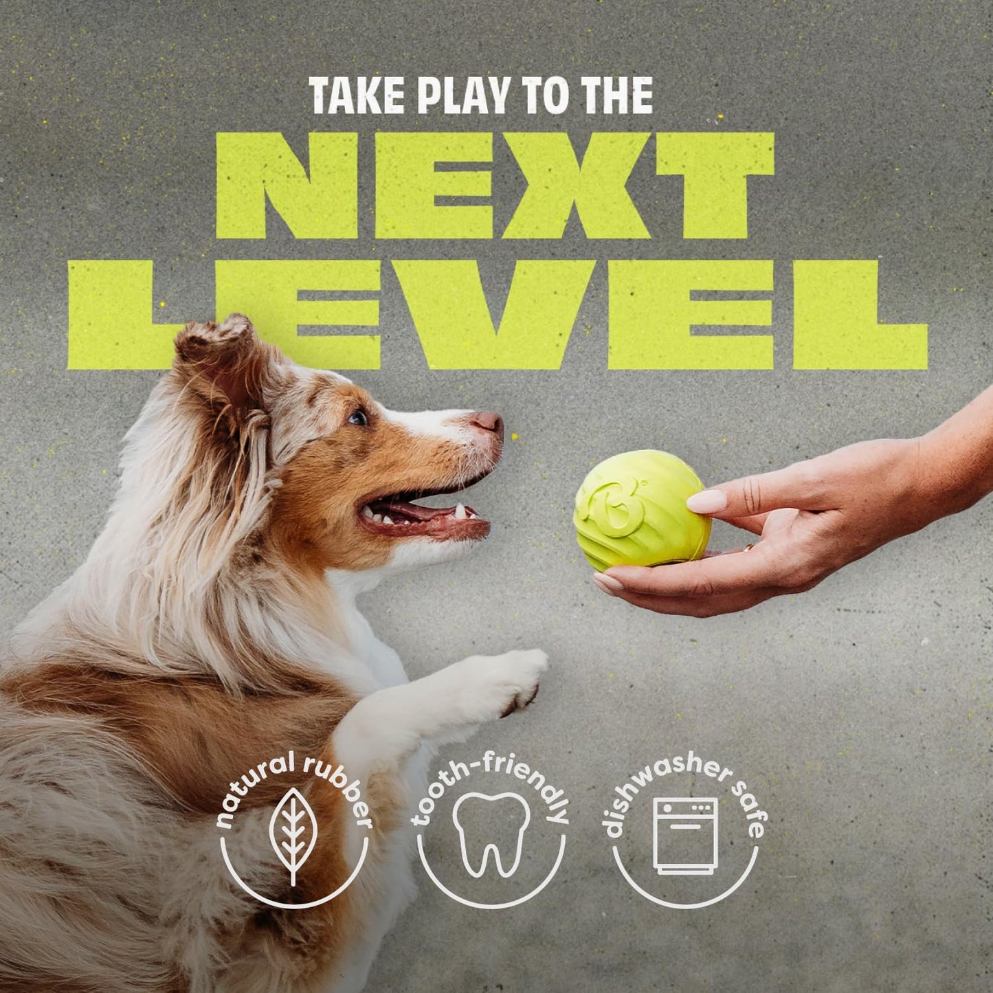 Benebone Dog Ball, Natural Rubber