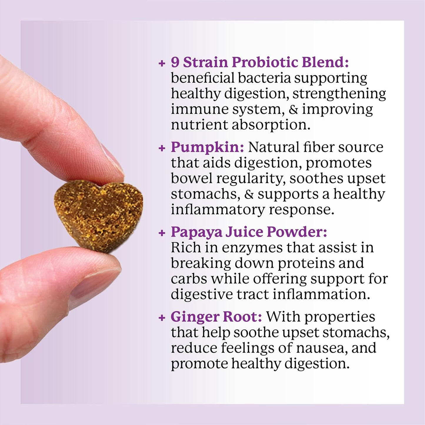 Dr. Harvey's Digestive Probiotic Soft Chews for Dogs, 7 Probiotics for Gut Health, Diarrhea and Bowel Support, Peanut Butter Flavor (90 Chews)