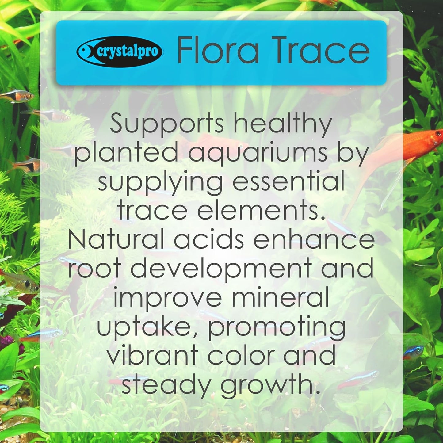 Flora Trace - Trace Element Supplement for Aquarium Plants - Supports Root Development and Mineral Uptake in Freshwater Planted Tanks - Part of The Flora Nutrition Series - 16.9 fl oz