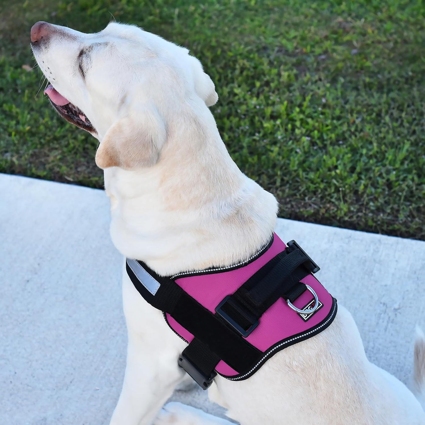Dogline Dog Harness, Reflective No-Pull Adjustable Vest with Handle for Walking, Training, Breathable, No - Choke Harness for Small, Medium or Large Dogs Room for Patches Girth 22"-28" in Pink