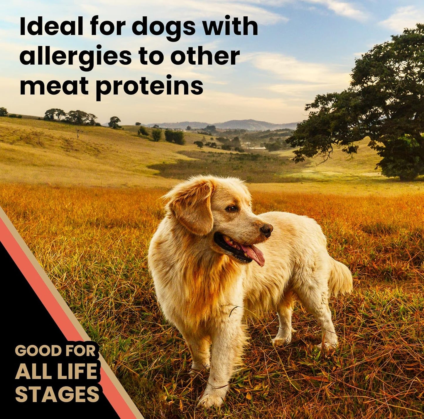 VICTOR Super Premium Dog Food – Grain Free Yukon River Canine – Supports Immune & Digestive Health for Dogs of All Life Stages – High Protein Dry Dog Food for All Normally Active Dogs, 5 lb