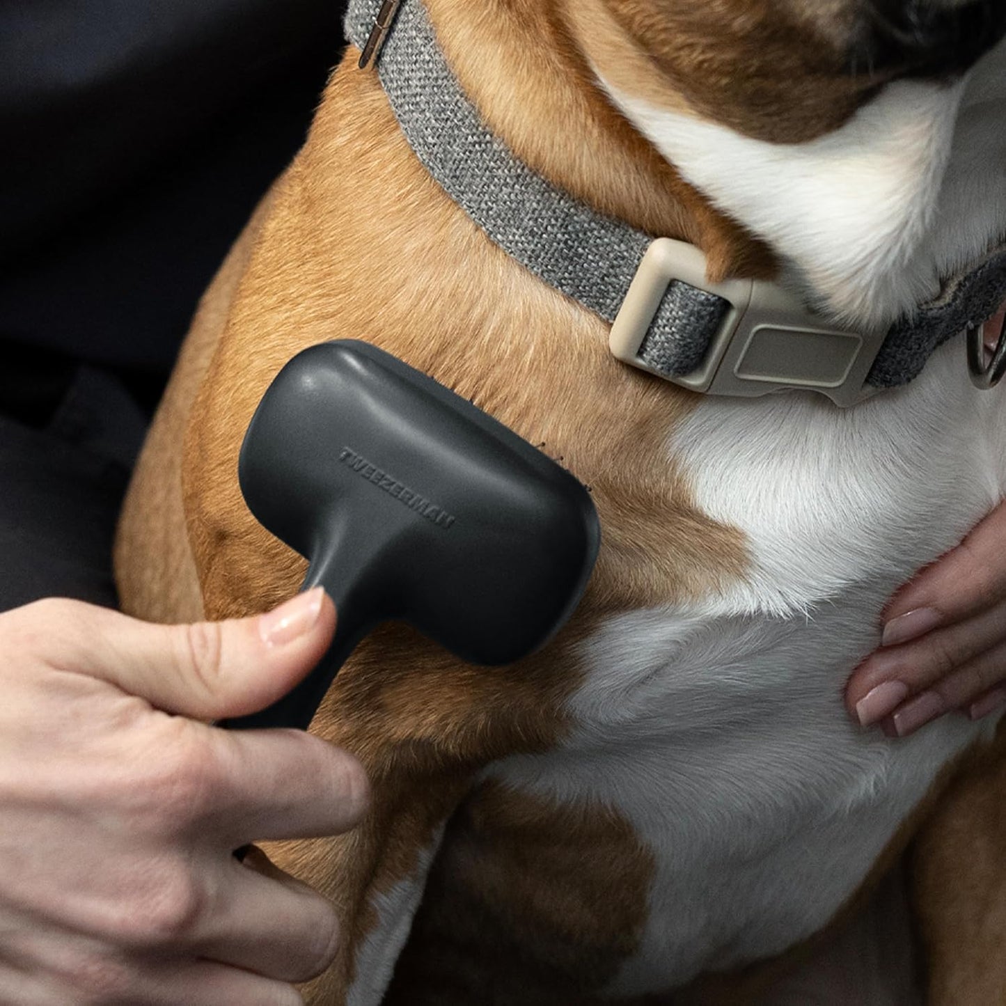 Tweezerman Dog and Cat Slicker Brush for Small Pets, Grooming Brush with Coated Bristles to Prevent Scratching and Ergonomic Handle