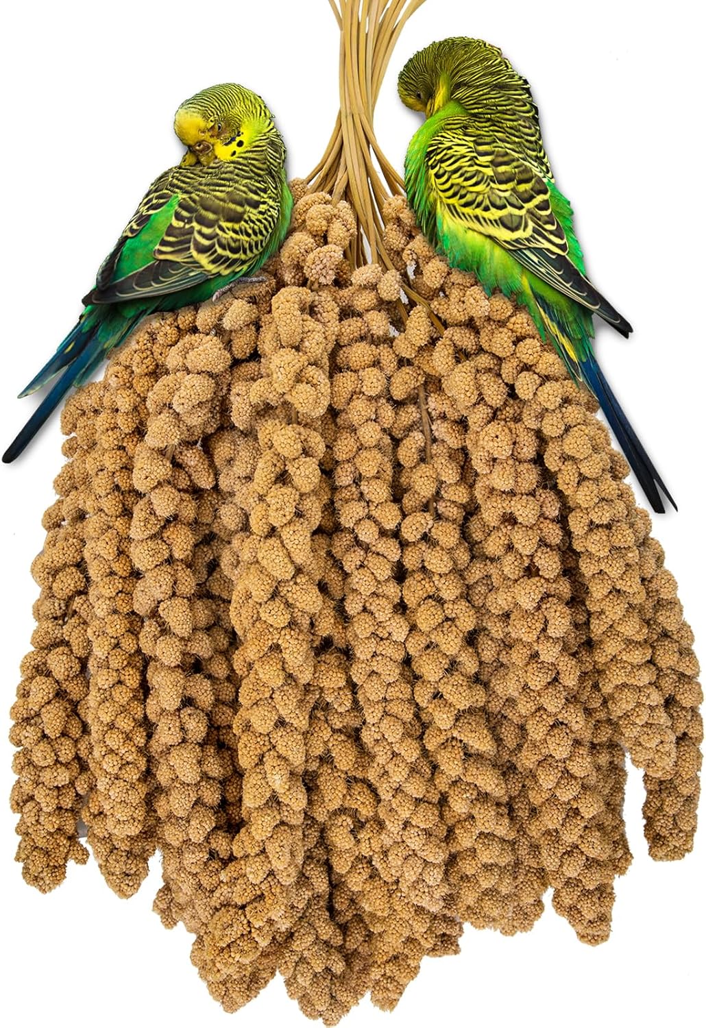 RANZ 5LBS Millet Spray for Birds, GMO-Free, Sun Dried Spray Millet, Original Bird Treats & Supplement for Parrots, Cockatiels, Lovebirds, Painted Buntings and Finches, Parakeets Food
