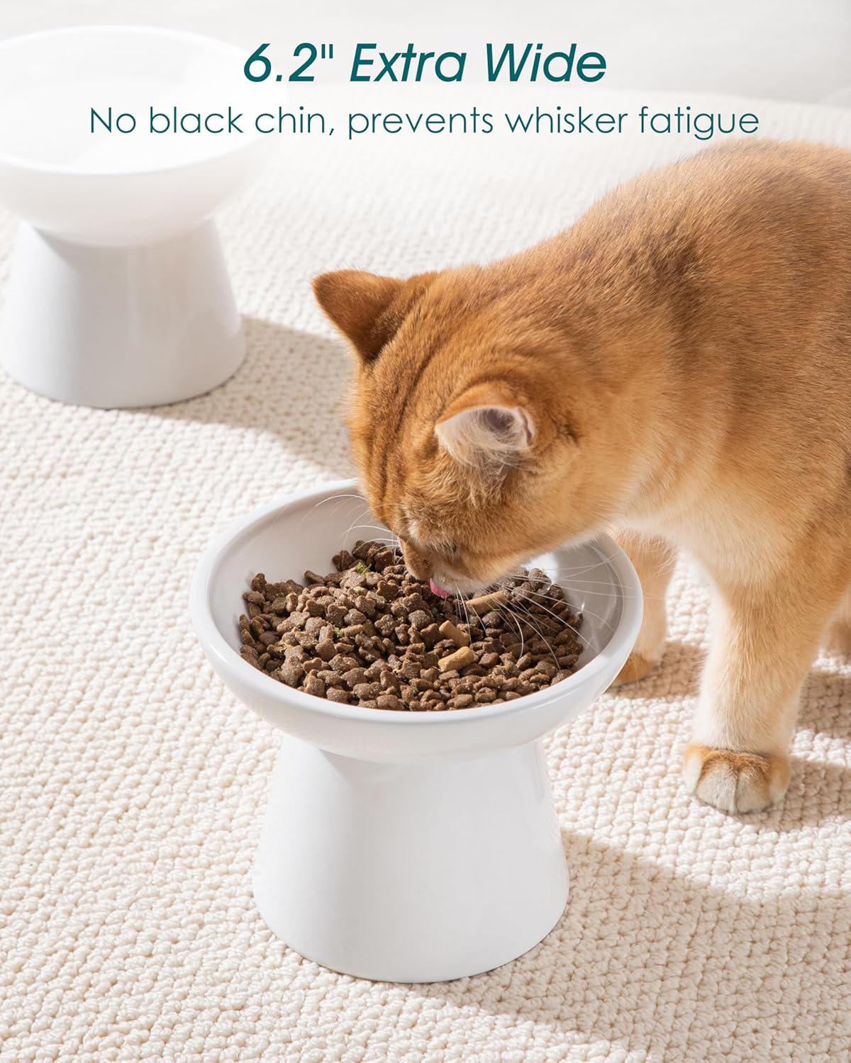 vancasso Ceramic Elevated Cat Bowls 2-Pack - 6.2" Extra Wide Raised Cat Food & Water Dishes, 5.1" Optimal Height Anti-Whisker Fatigue Shallow Bowls for Cats/Kittens/Dogs, Lead & Cadmium Free (White)