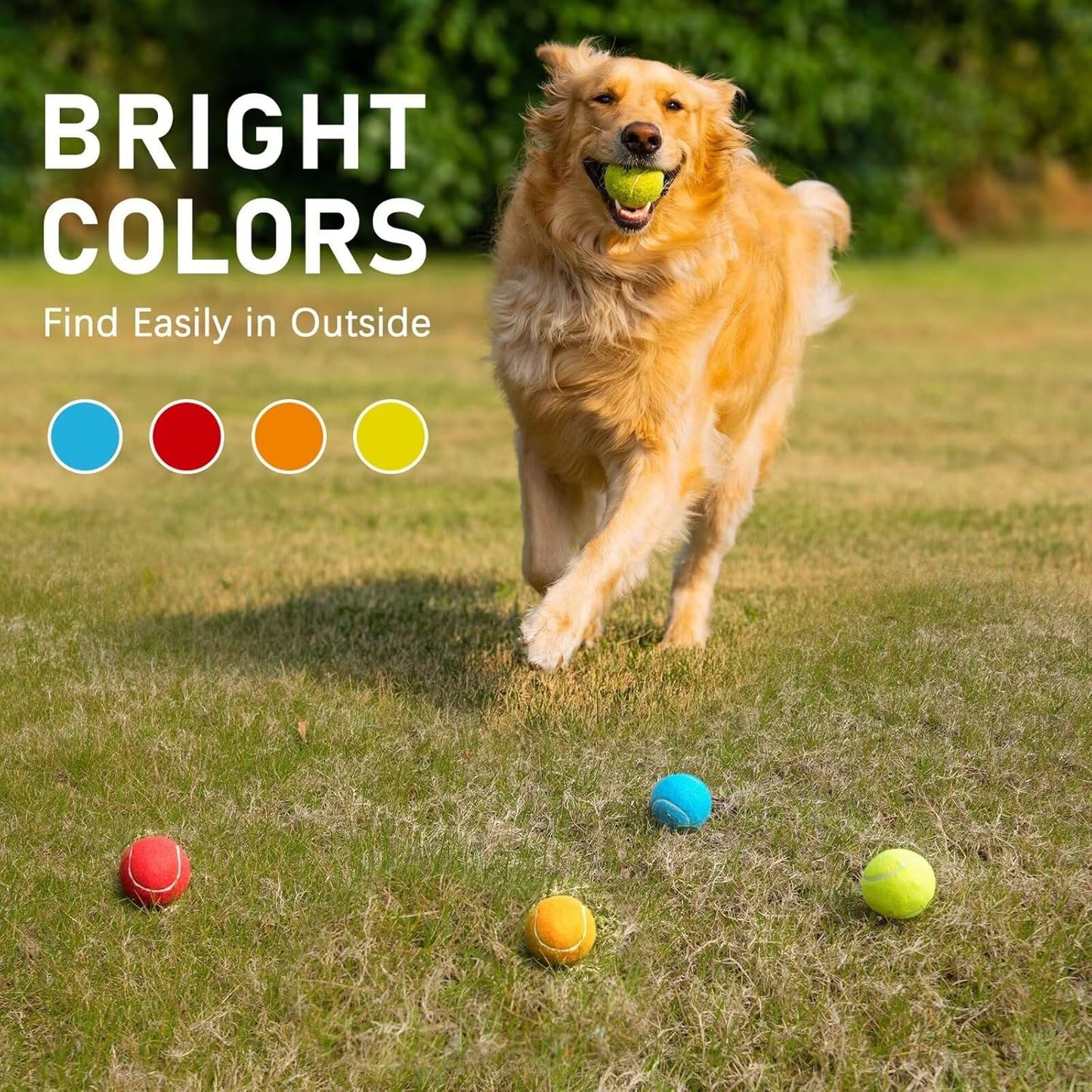 PrimePets Tennis Balls for Dogs, 2.5 Inch Thick Bouncy Ball for Dogs, Interactive Fetch Dog Toy Balls for Indoor Outdoor Play Fetch Dog Balls for Medium, Large Dogs