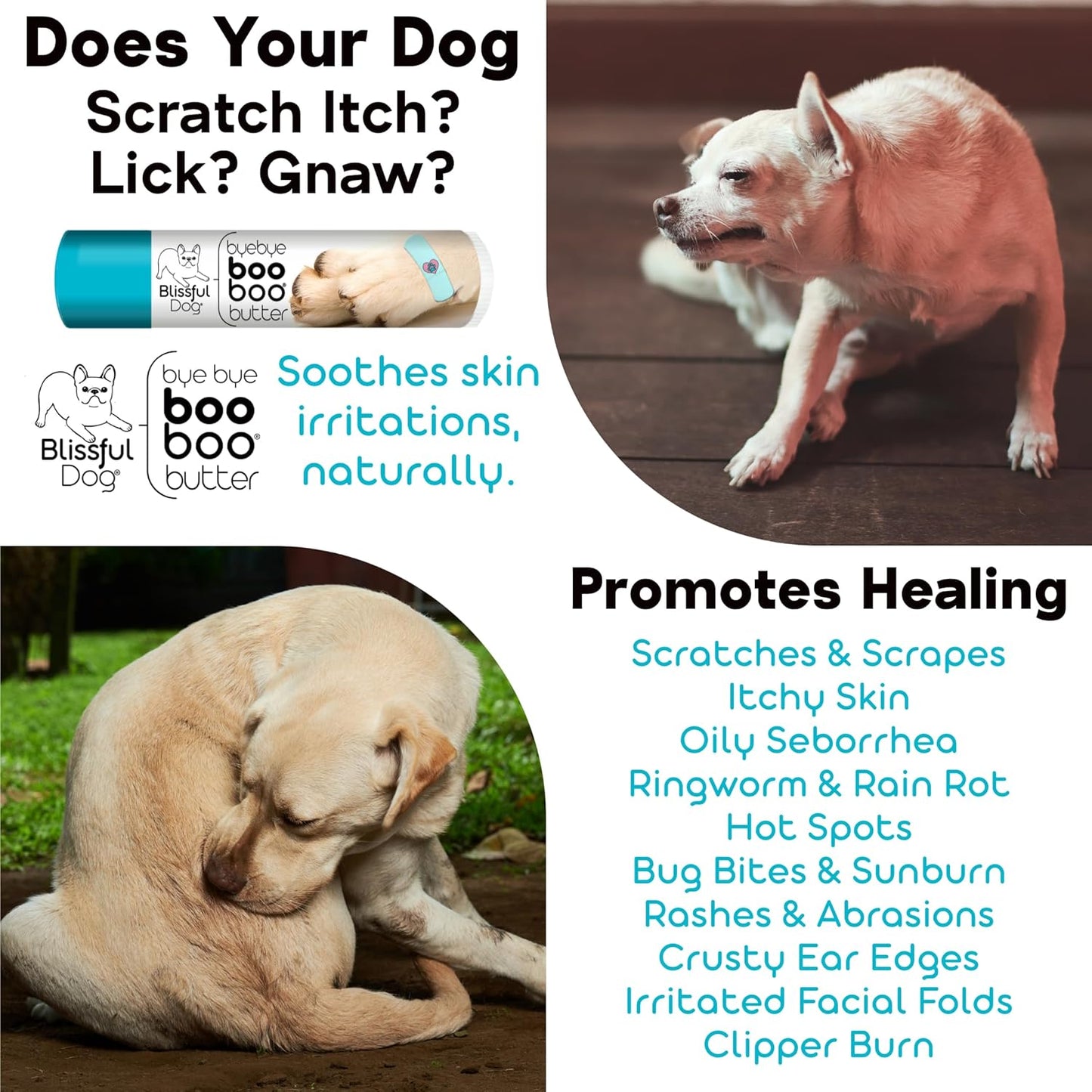 The Blissful Dog 2 oz TIN Cocker Spaniel Booboo Butter