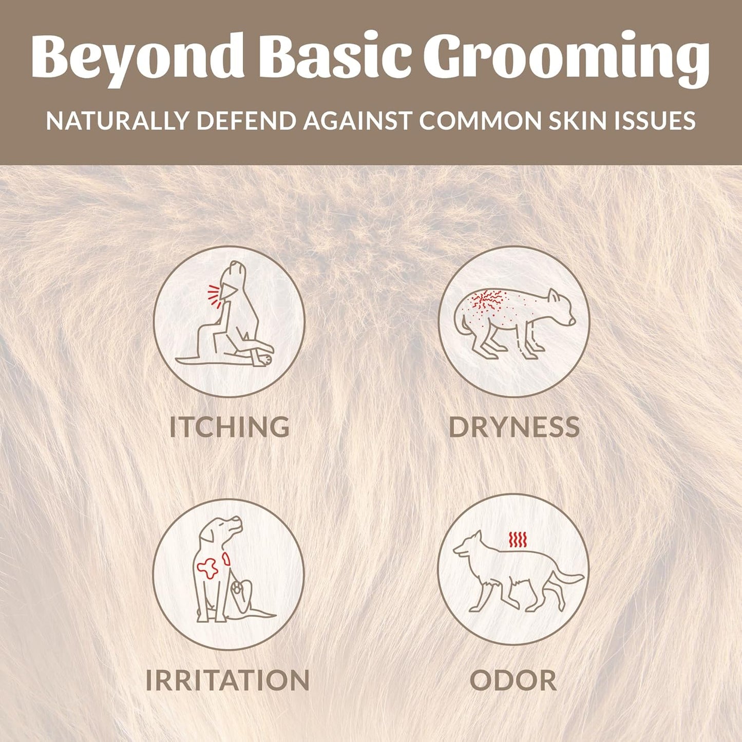 Skout's Honor Probiotic Pet Shampoo & Conditioner with Avocado Oil & Omega-3s, 97% Natural, Paraben & Sulfate-Free, Cruelty-Free, 16oz, Dog of The Woods