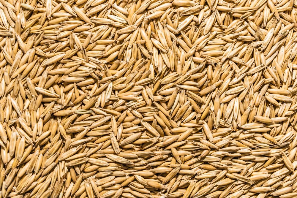 Thunder Acres Non GMO, Certified Organic, Oat Seed (2 lb.)