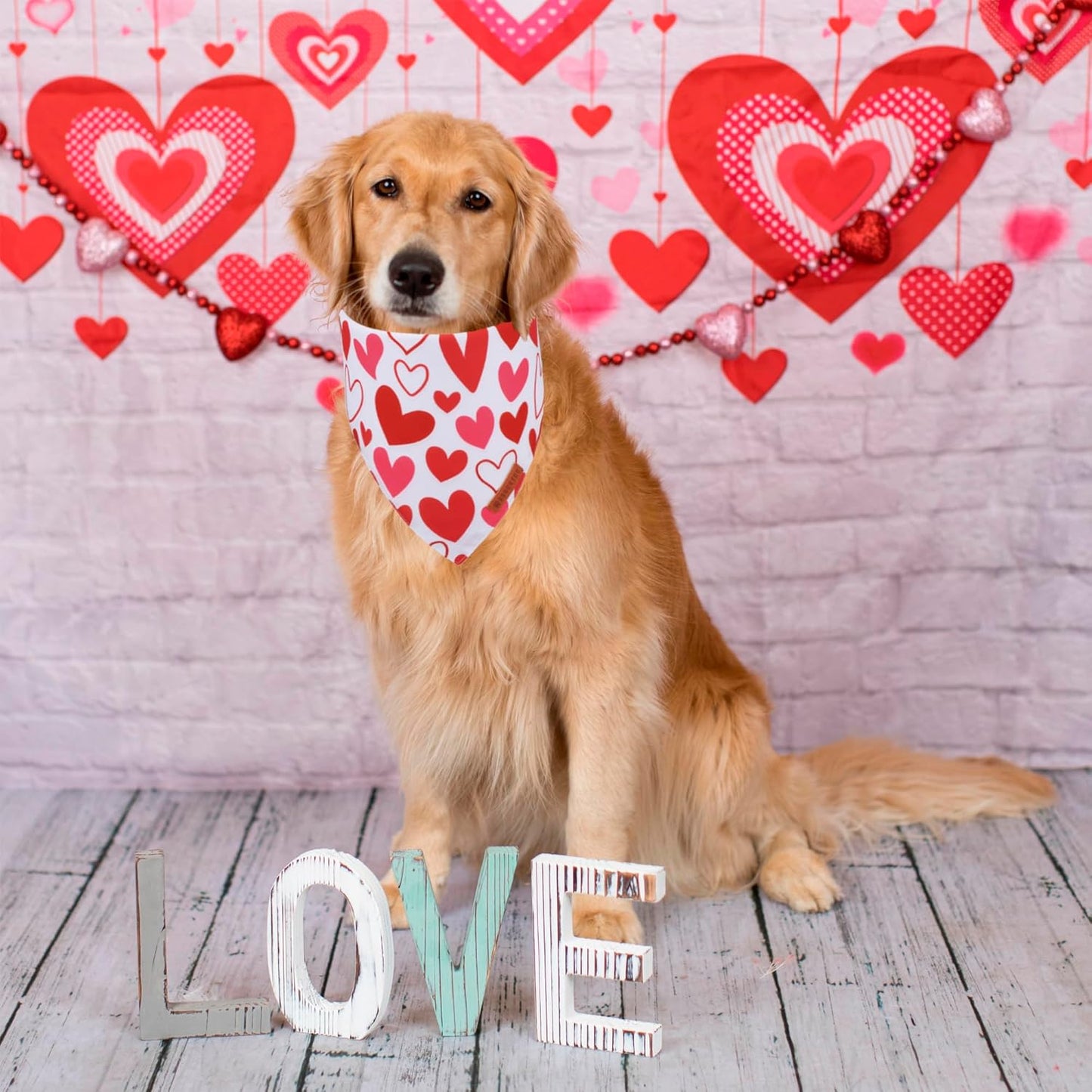 ADOGGYGO Valentine Dog Bandanas, Red Pink Heart Pet Scarf, Multi Size Offered, White Red Valentine Bandana for Large and Extra Large Dogs (X-Large)