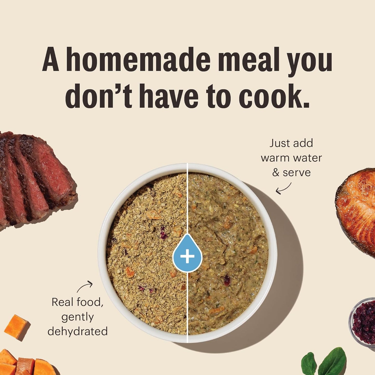 The Honest Kitchen Wholemade™ Grain Free Chicken Dog Food, 10 lb Box