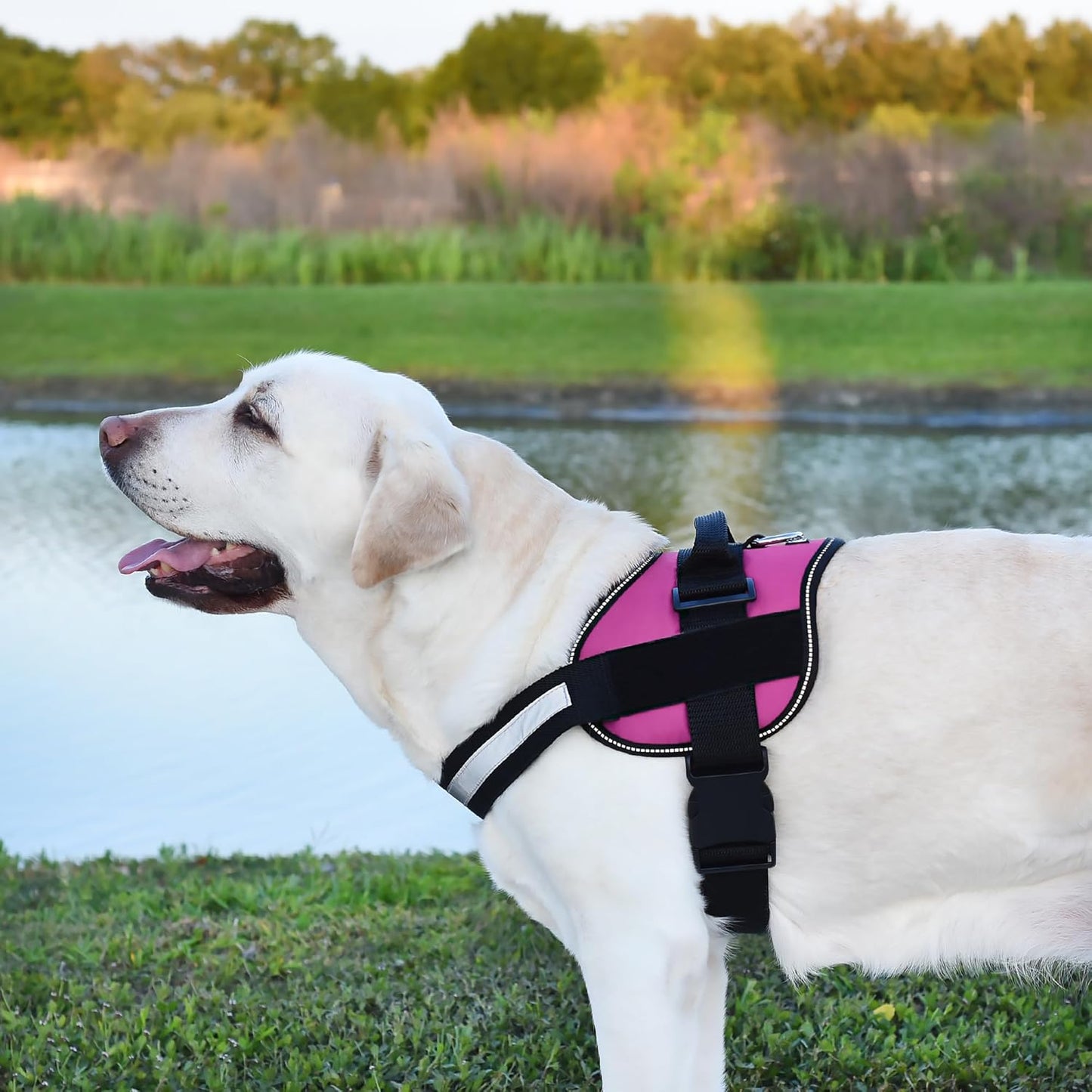Dogline Dog Harness, Reflective No-Pull Adjustable Vest with Handle for Walking, Training, Breathable, No - Choke Harness for Small, Medium or Large Dogs Room for Patches Girth 33"-46" in Pink
