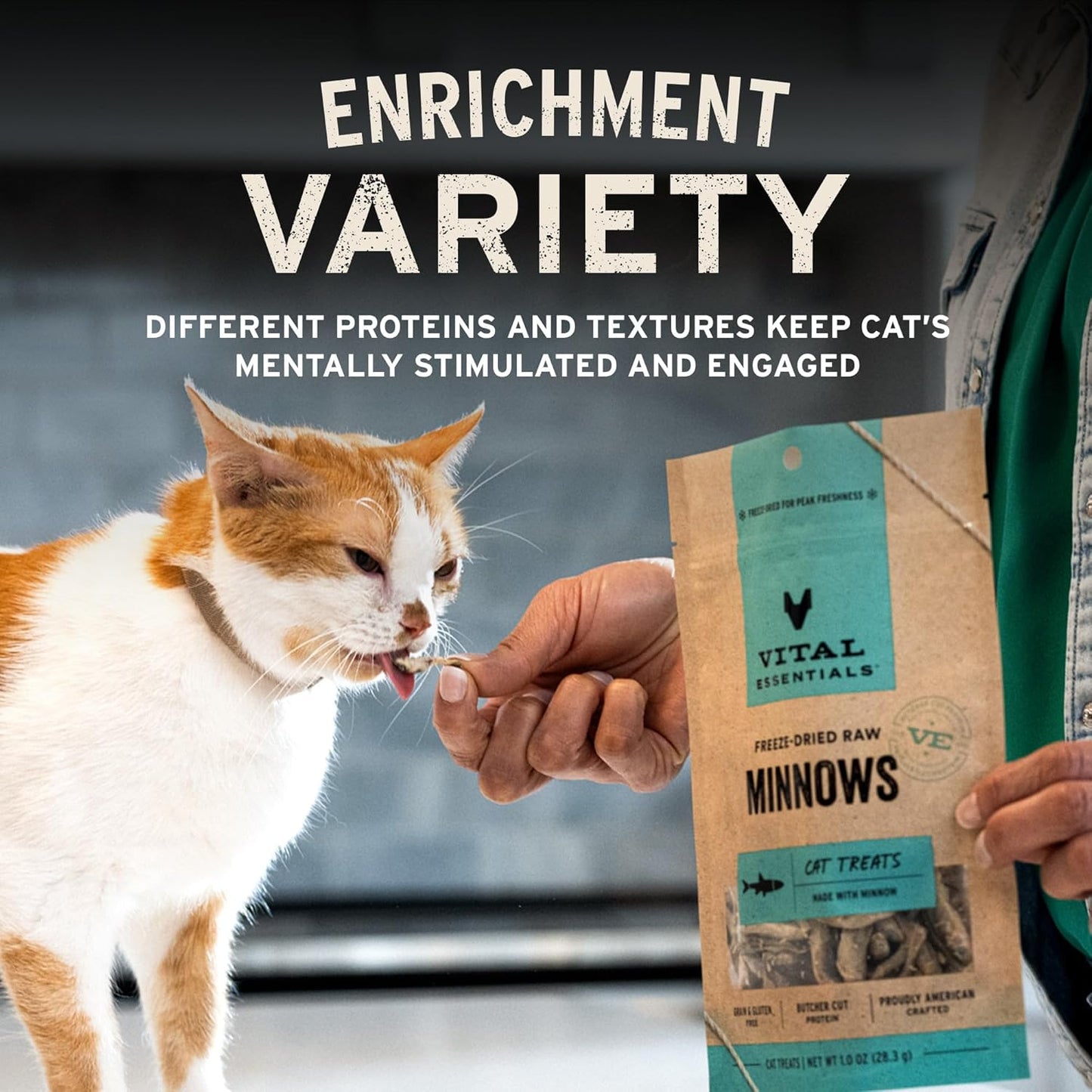 Vital Essentials Chicken Breast Cat Treats, 2.1 oz | Freeze-Dried Raw | Single Ingredient | Grain Free, Gluten Free, Filler Free
