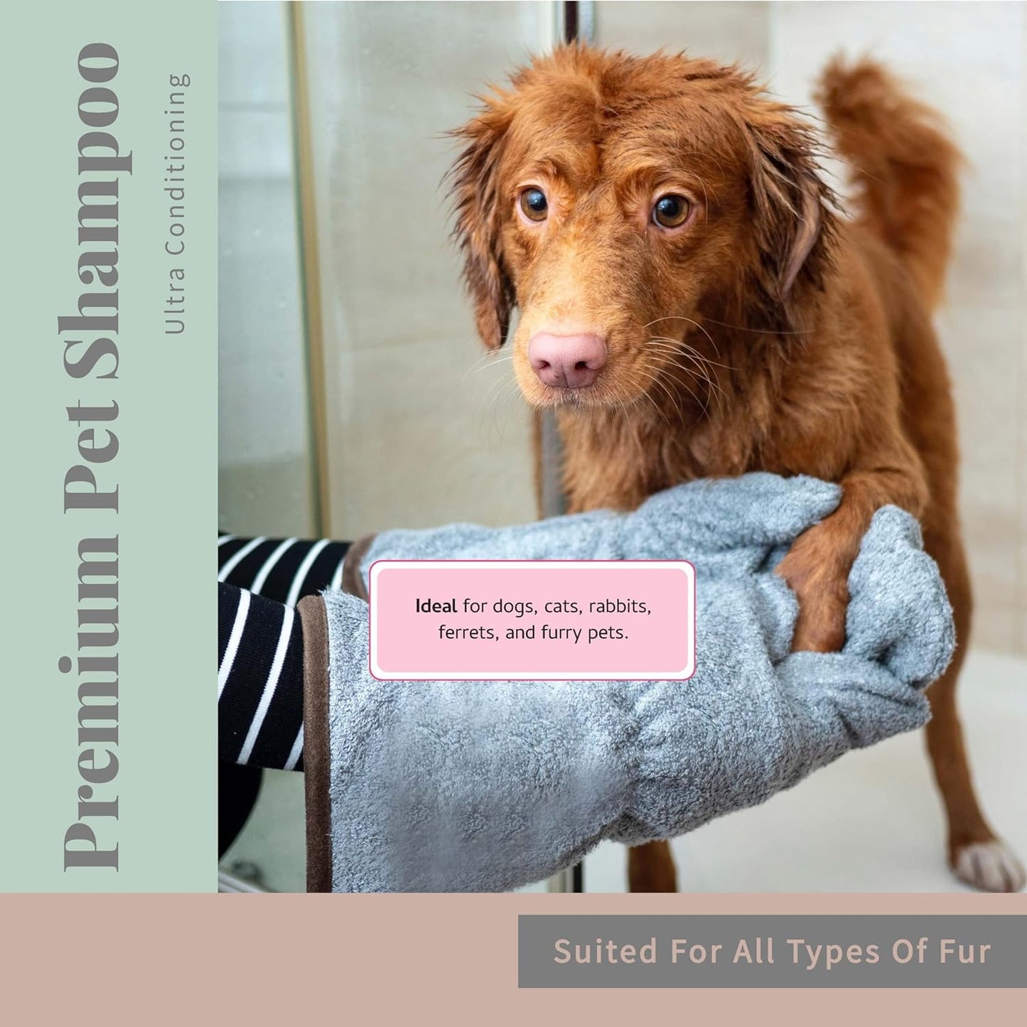 Begley's No Rinse Waterless Pet Shampoo, Bathless Cleaning, Deodorizing, and Odor Removal for a Shiny, Fresh Smelling Coat - Effective for Dogs, Puppies, and Cats - Fresh Oatmeal Mango Scent