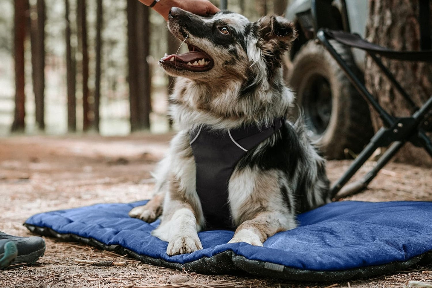 K9 Ballistics Tough Ripstop Dog Crate Pad - Durable & Machine Washable with Non-Skid Bottom and 120-Day Warranty, Fits 30" Wire Crates - Small, Light Gray Velvet