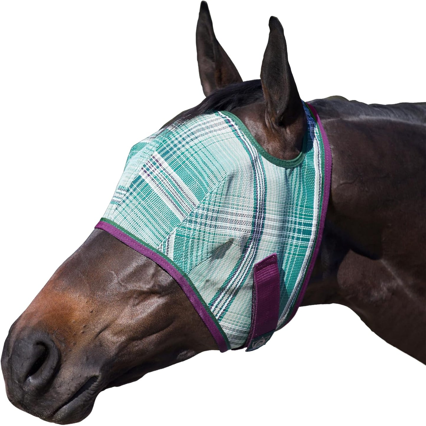 Kensington Fly Mask Web Trim Protects Horses Face and Eyes from Bites and Sun Rays While Allowing Full Visibility Ears and Forelock Able to Come Through The Mask, Small, Imperial Jade