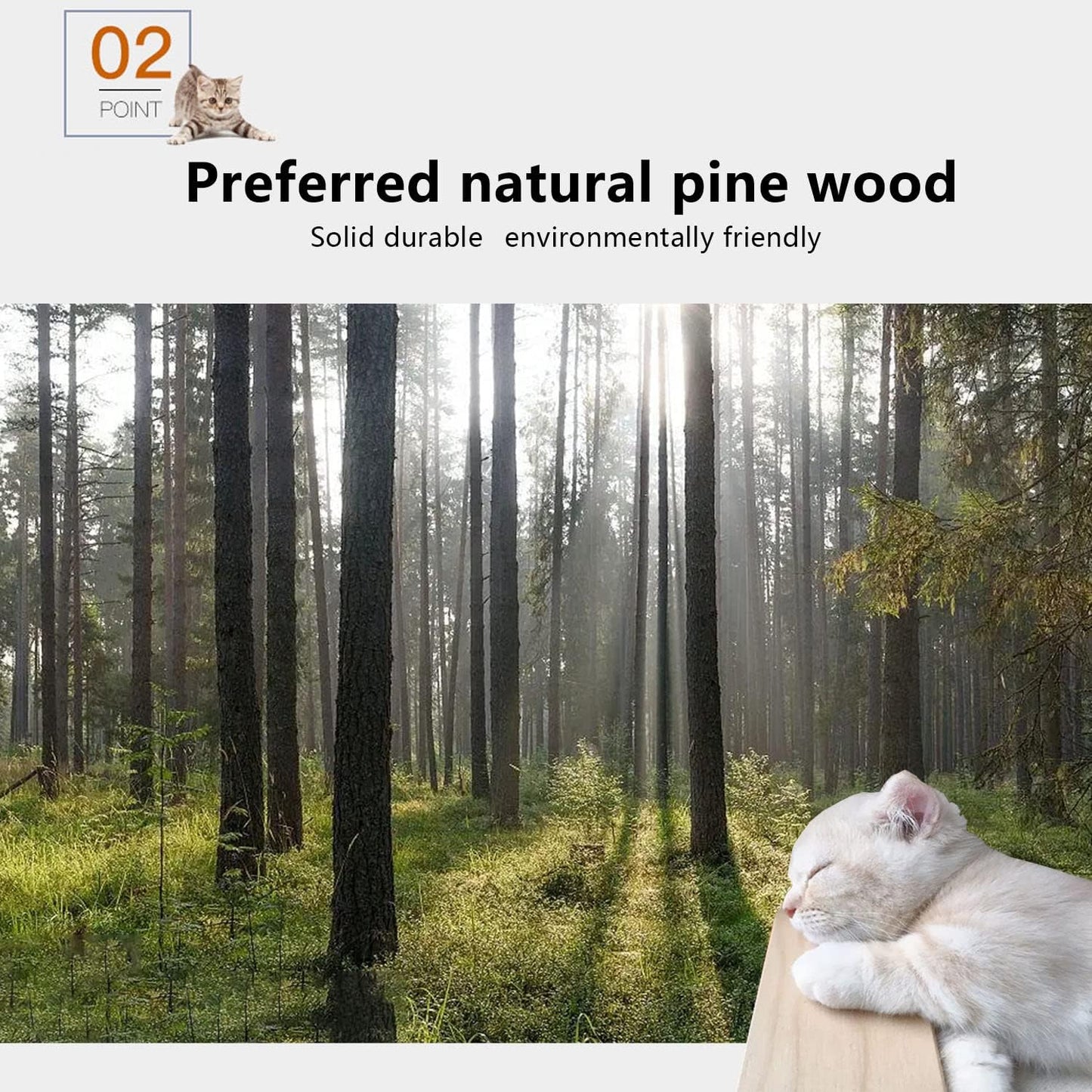 Cat Wall Shelves and Furniture Set with Condos, Perches, Bridge Ladders, Sisal Scratching Posts - Steps and Houses for Cats (A)