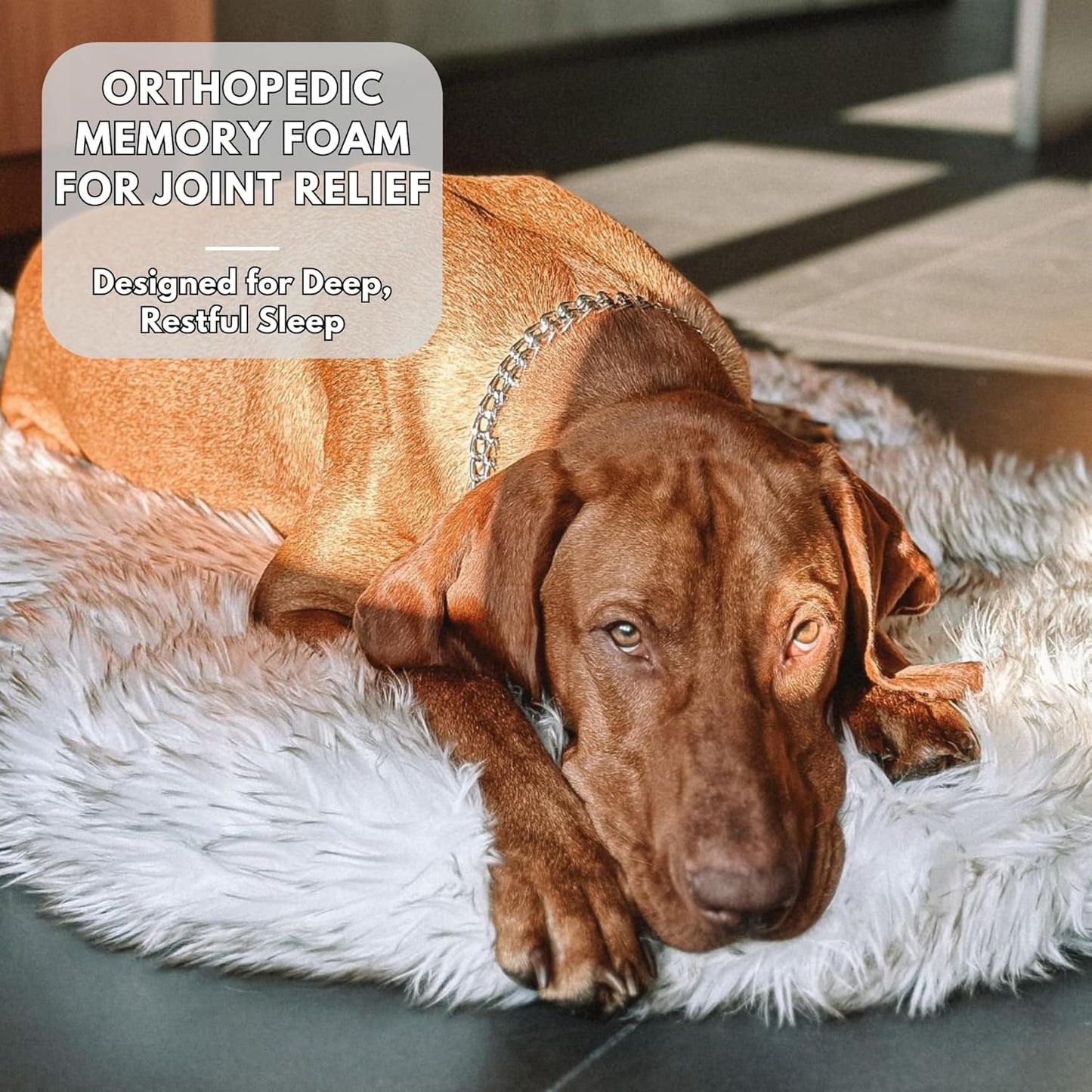 IHAPPYDOG Luxury Faux Fur Orthopedic Dog Bed, Memory Foam Dog Bed for Small, Medium, Large and XL Pets, Fluffy Pet Rug with Waterproof and Washable Cover (White w/Brown Tips, 40"x25")