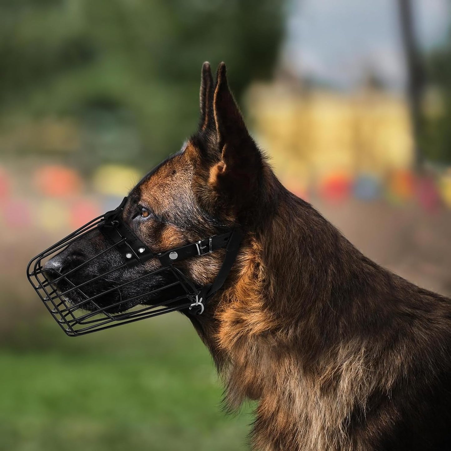 German Shepherd Dog Muzzle Metal Basket for Medium Large Dogs Adjustable Durable Leather Straps Secure Wire Mask for Biting Chewing Barking (Black, M - Size)
