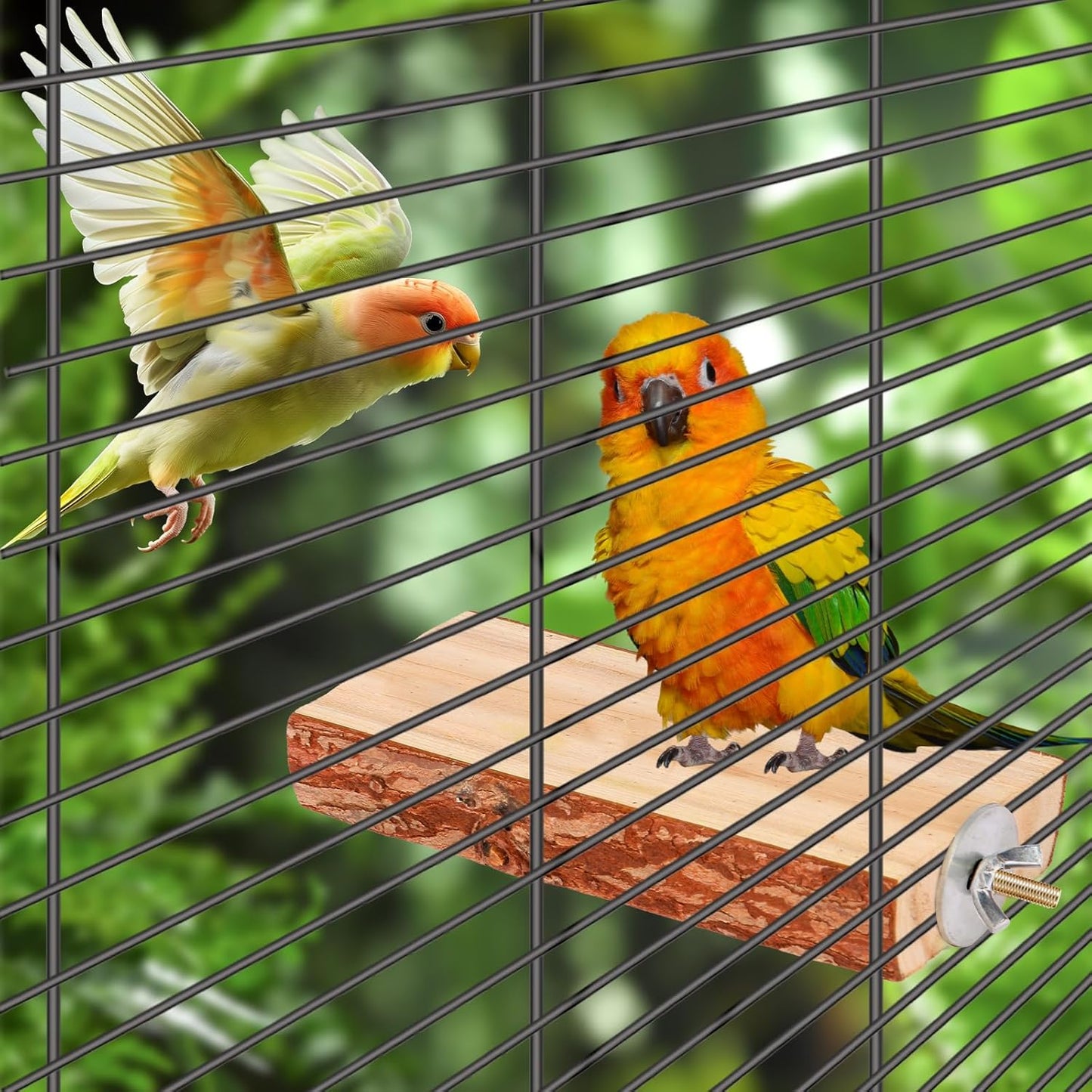 Bird Toys Parakeet Perch Budgie Perch Wood Stand Fork Toys Multi-Branch Perch Platform Toy for Small Conures,Cockatiel,Parrotlet,Lovebird,Parrot,Finches