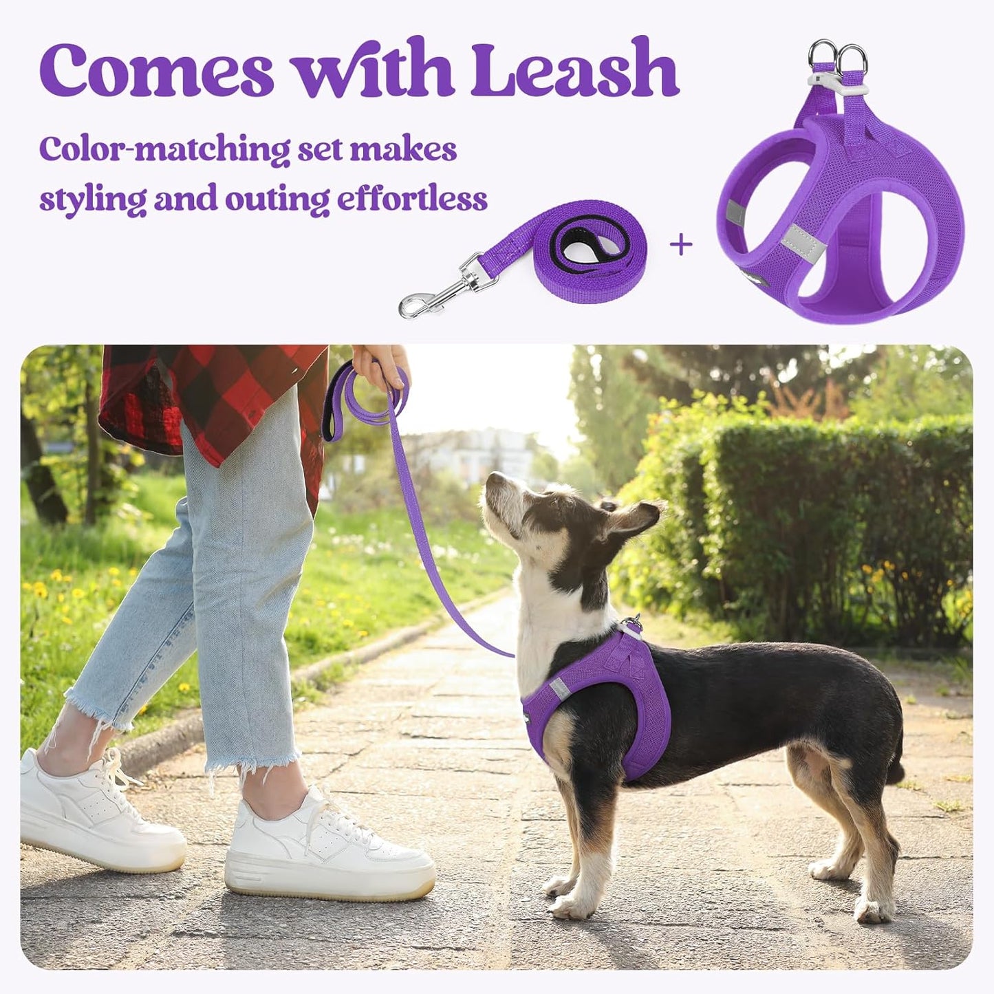 rabbitgoo Dog Harness Small Sized and Leash Set, Step in Soft Light Puppy Vest, Breathable Mesh Pet Harness, Reflective for Outdoor Safe Walking, Purple XXL