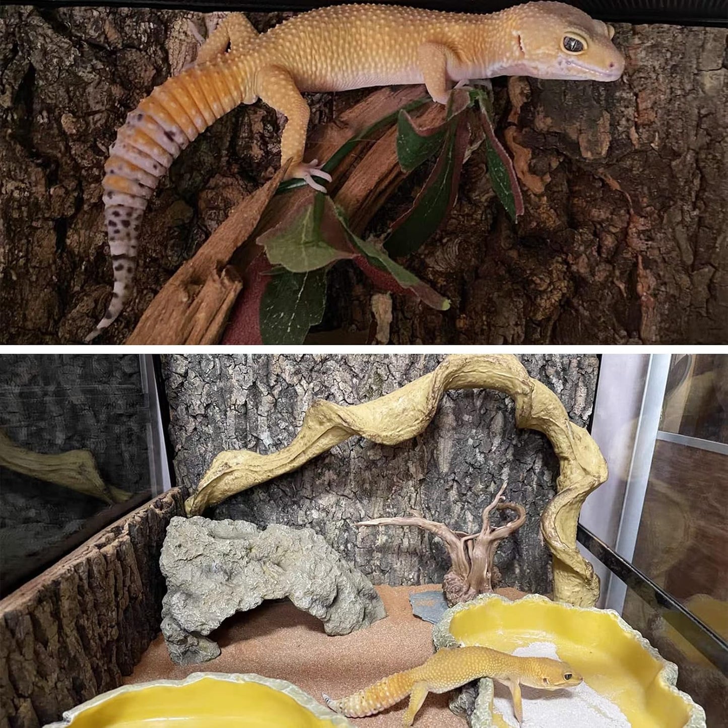 Fhiny 2 PCS Cork Bark Background, 11.6" x 7.7" Natural Cork Bark for Reptiles Tank Backdrop Reptile Climbing Wall Terrarium Decor Accessories for Turtle Beared Dragon Chameleon Snake