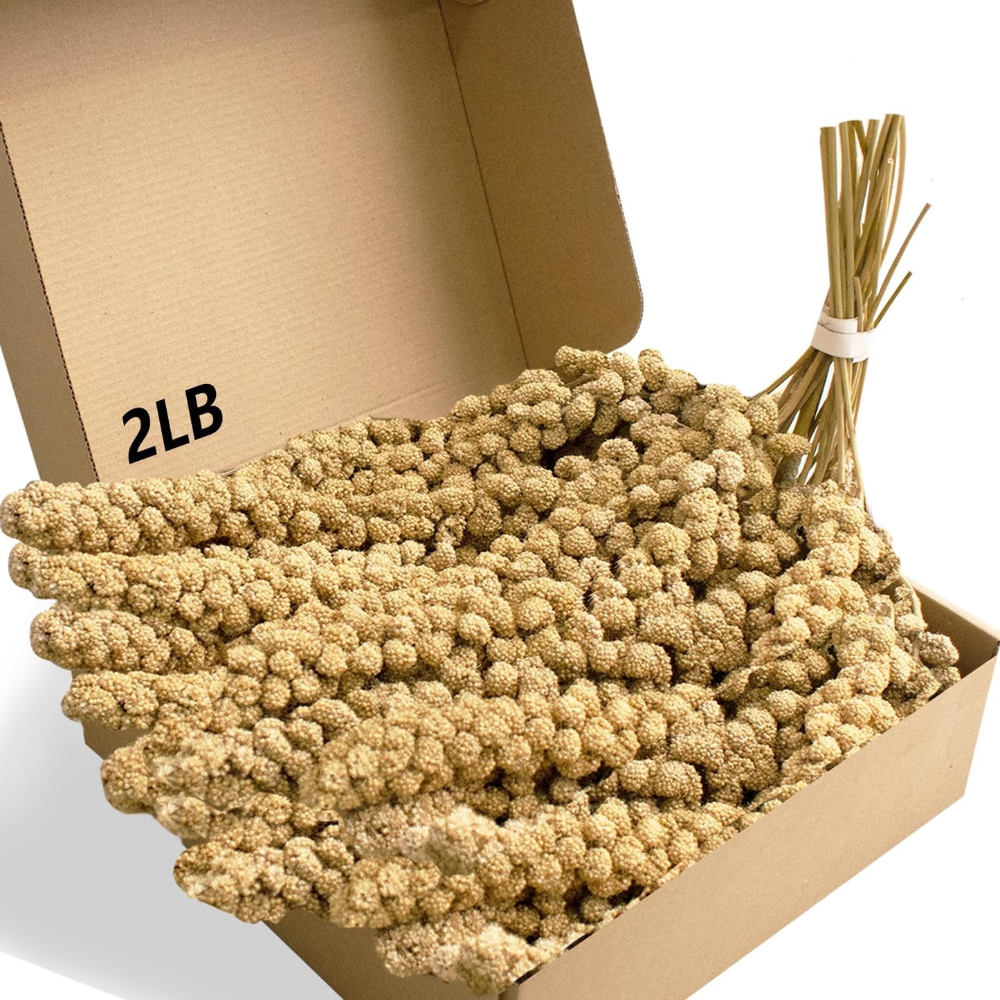 Jmxu's 2LB Spray Millet Treat for Birds Parakeets, Natural Sun-Dried Birds Millet for Cockatiel, Finches, Parrots, Hamster