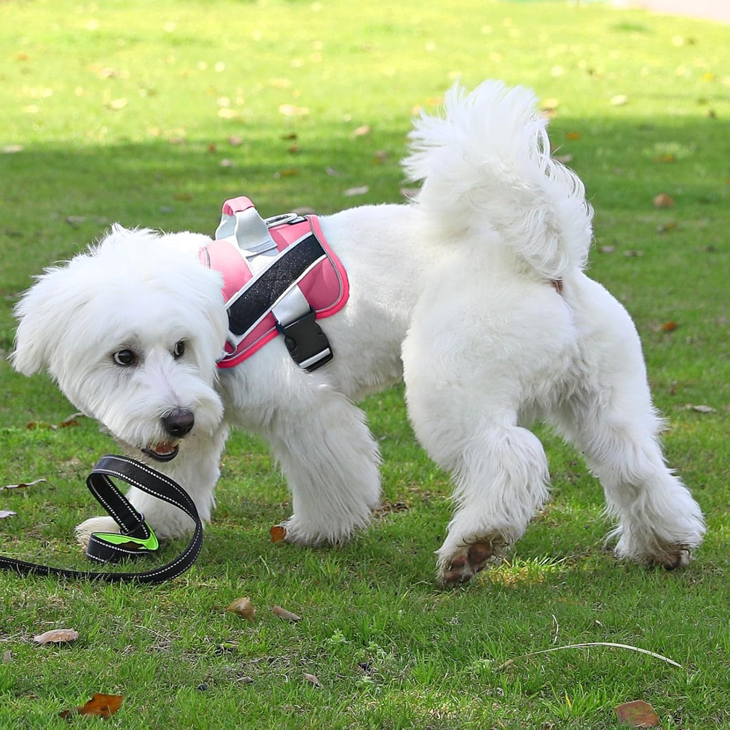 Bolux Dog Harness, No-Pull Reflective Dog Vest, Breathable Adjustable Pet Harness with Handle for Outdoor Walking - No More Pulling, Tugging or Choking (Fuchsia, Large (Pack of 1))