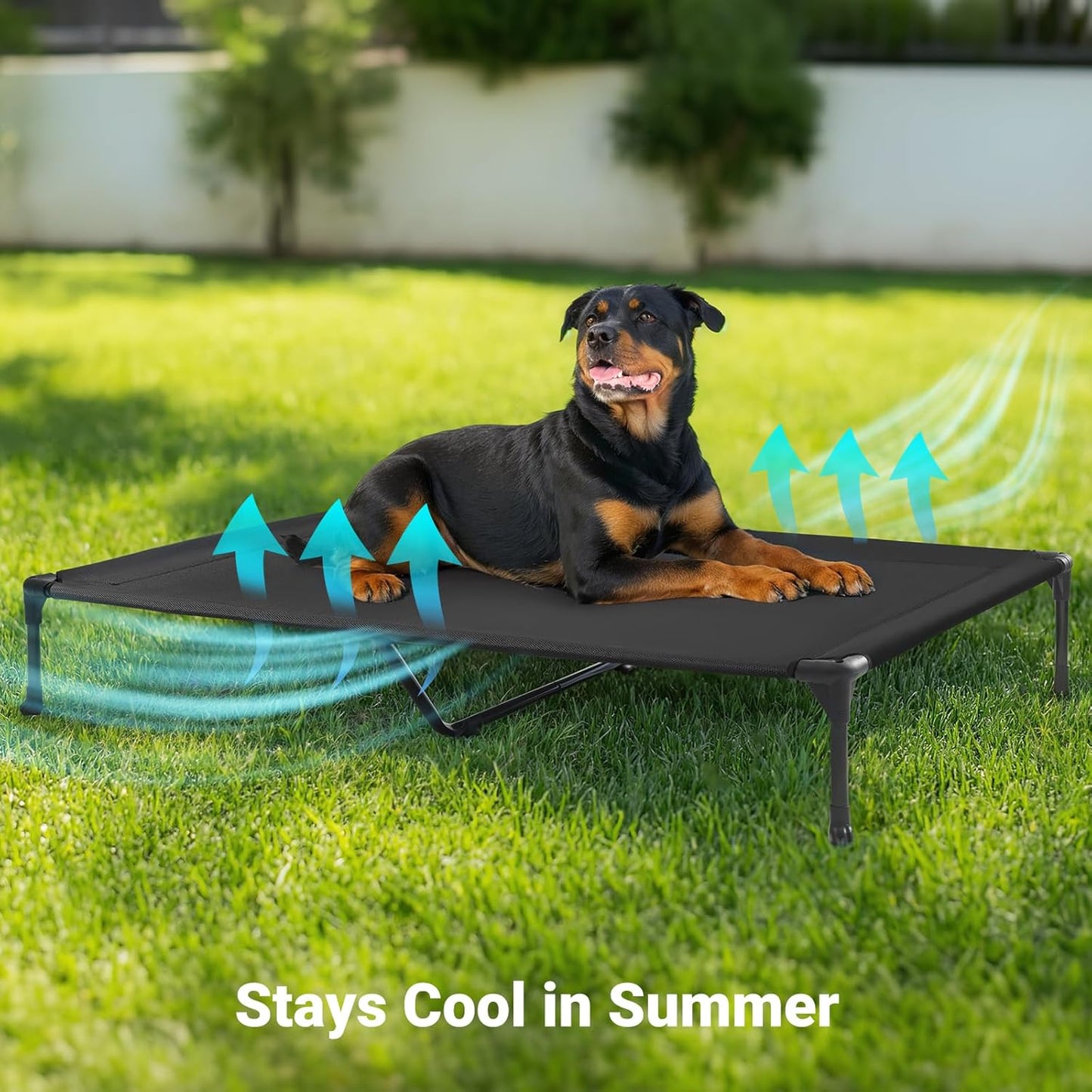 Veehoo Outdoor Elevated Dog Cot Bed, Cooling Raised Pet Bed for Large Dogs, Washable Breathable Mesh Hammock Bed with No-Slip Feet, Indestructible Ground Off Training Platform Cot