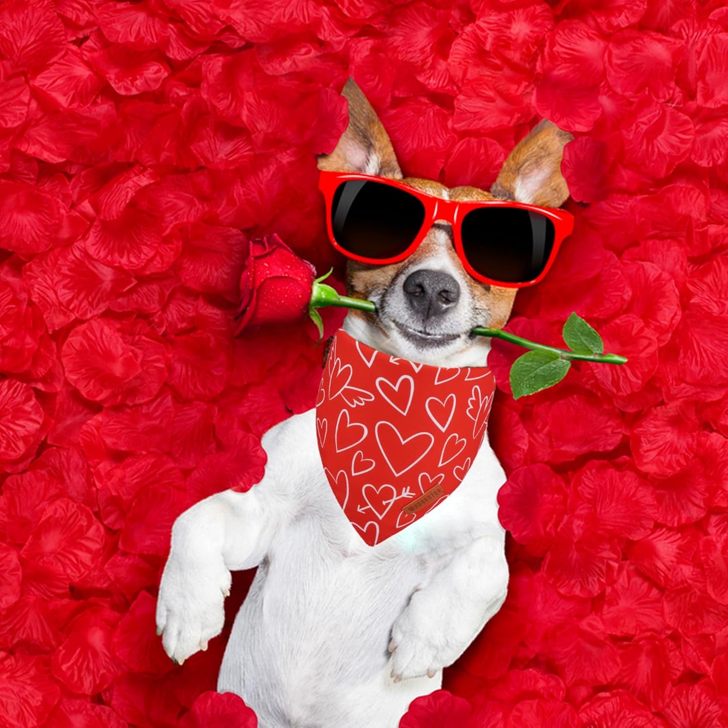 ADOGGYGO Valentine Dog Bandanas, Red Pink Heart Pet Scarf, Multi Size Offered, White Red Valentine Bandana for Medium Large Dogs (Large)