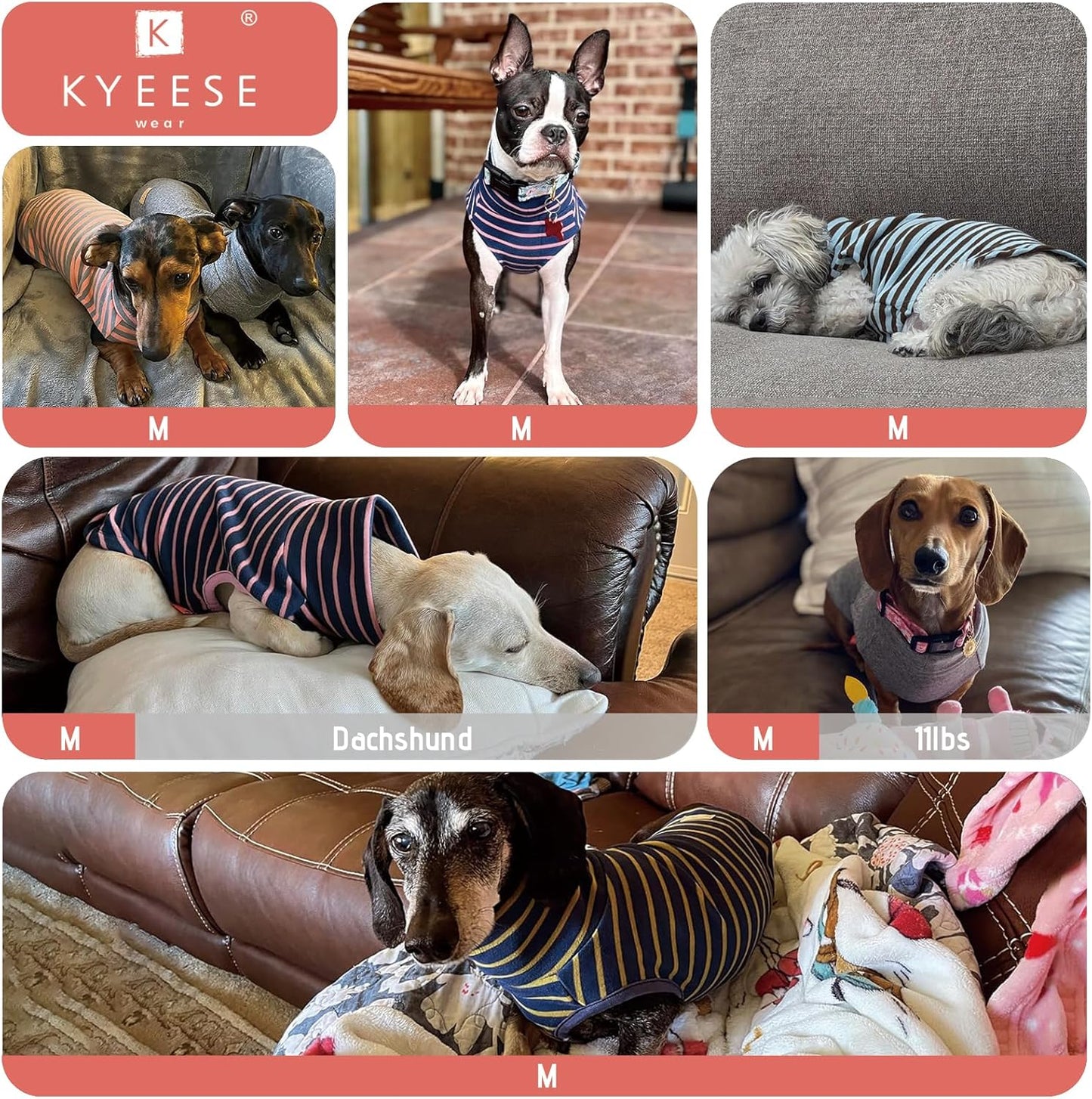 KYEESE 2Pack Dog Sweater Soft Dogs Clothes Warm Dachshund Clothes Turtleneck Pet Coats Stretchy Pet Sweatshirt Dog Sweaters for Small Dogs Girl Pullover Small Pets Sweaters